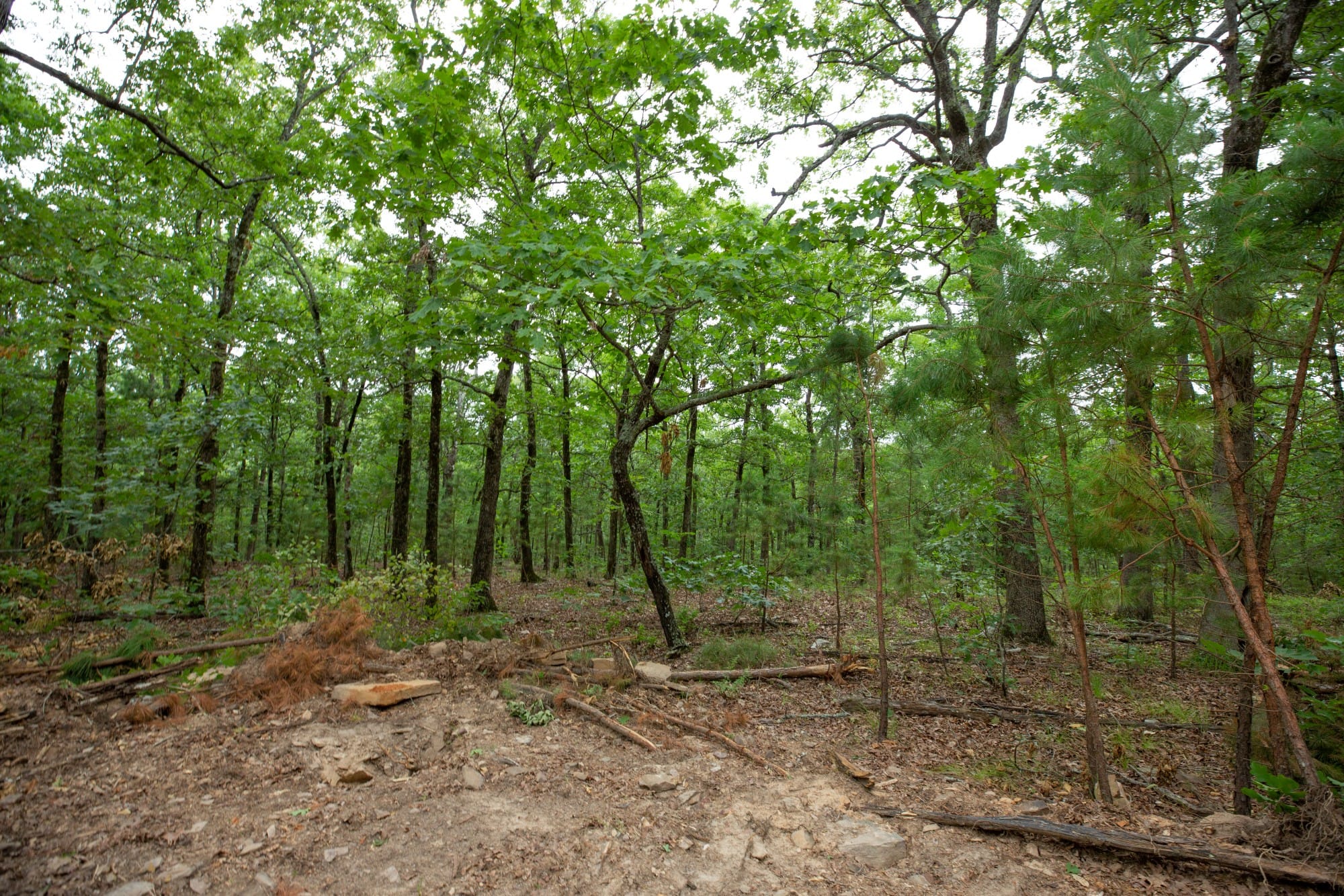 Eagle’s Nest Tract 57 photo 3