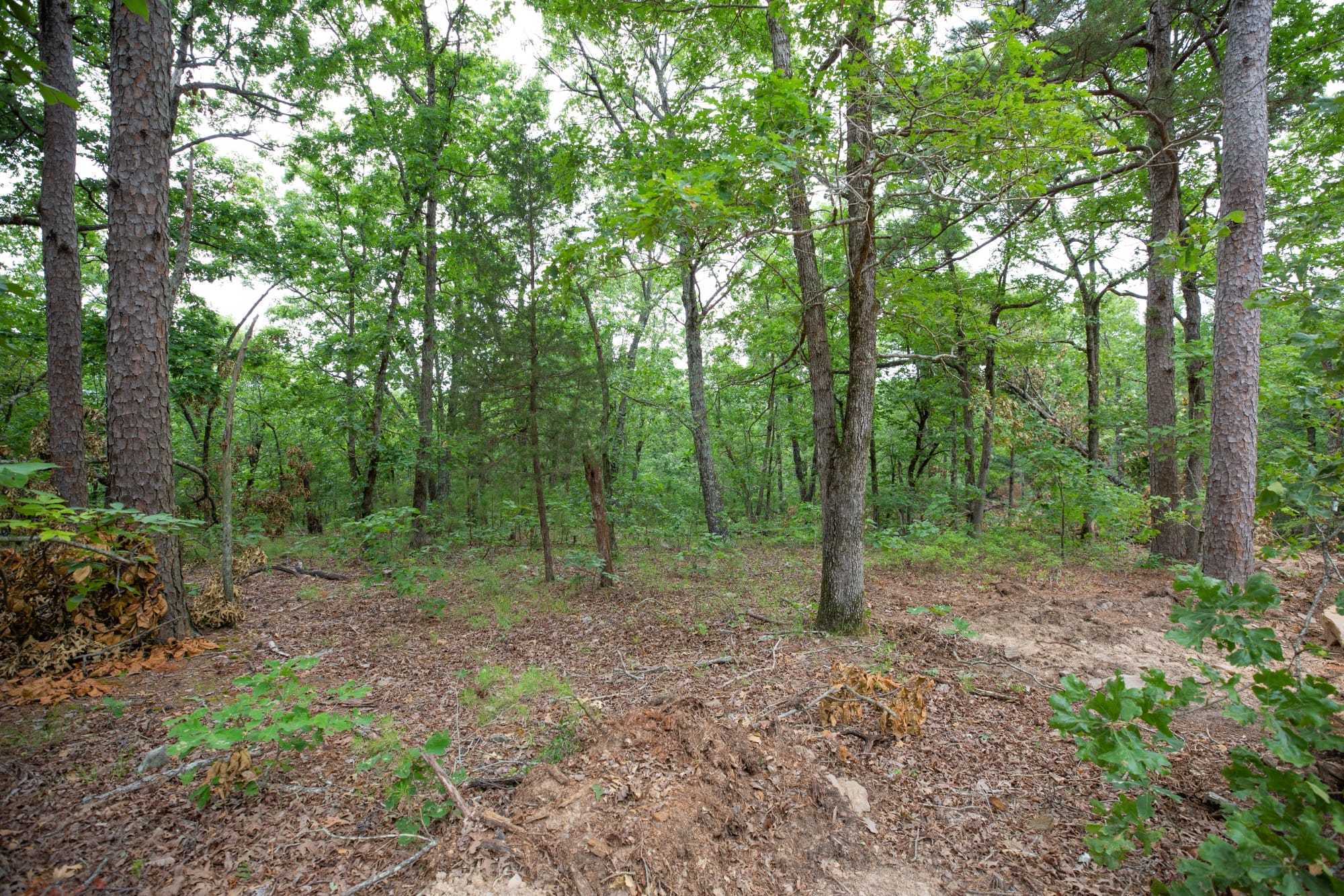 Eagle’s Nest Tract 57 photo 6