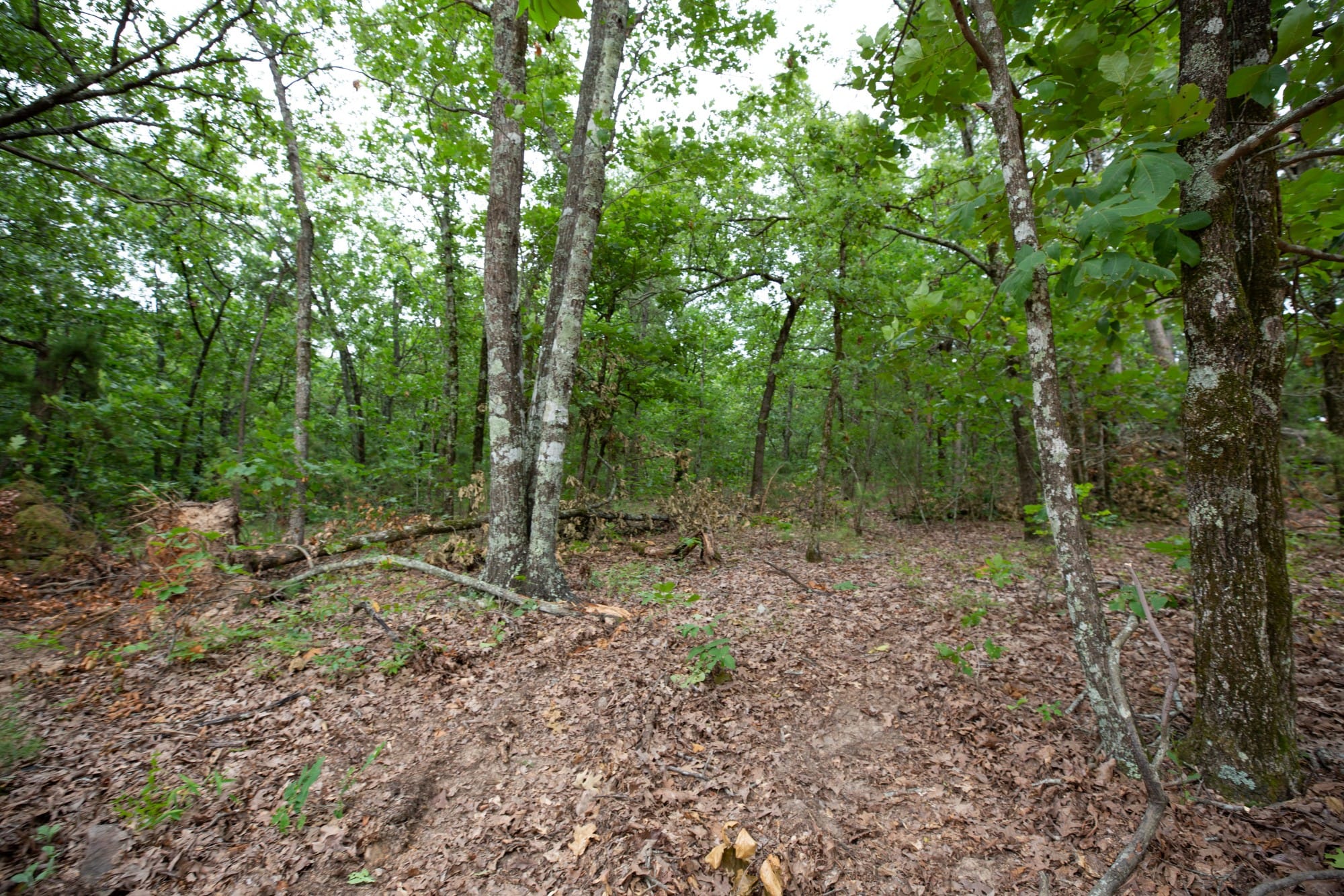 Eagle’s Nest Tract 57 photo 8