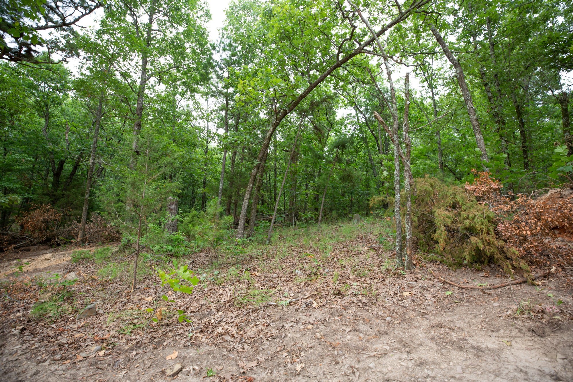 Eagle’s Nest Tract 57 photo 9