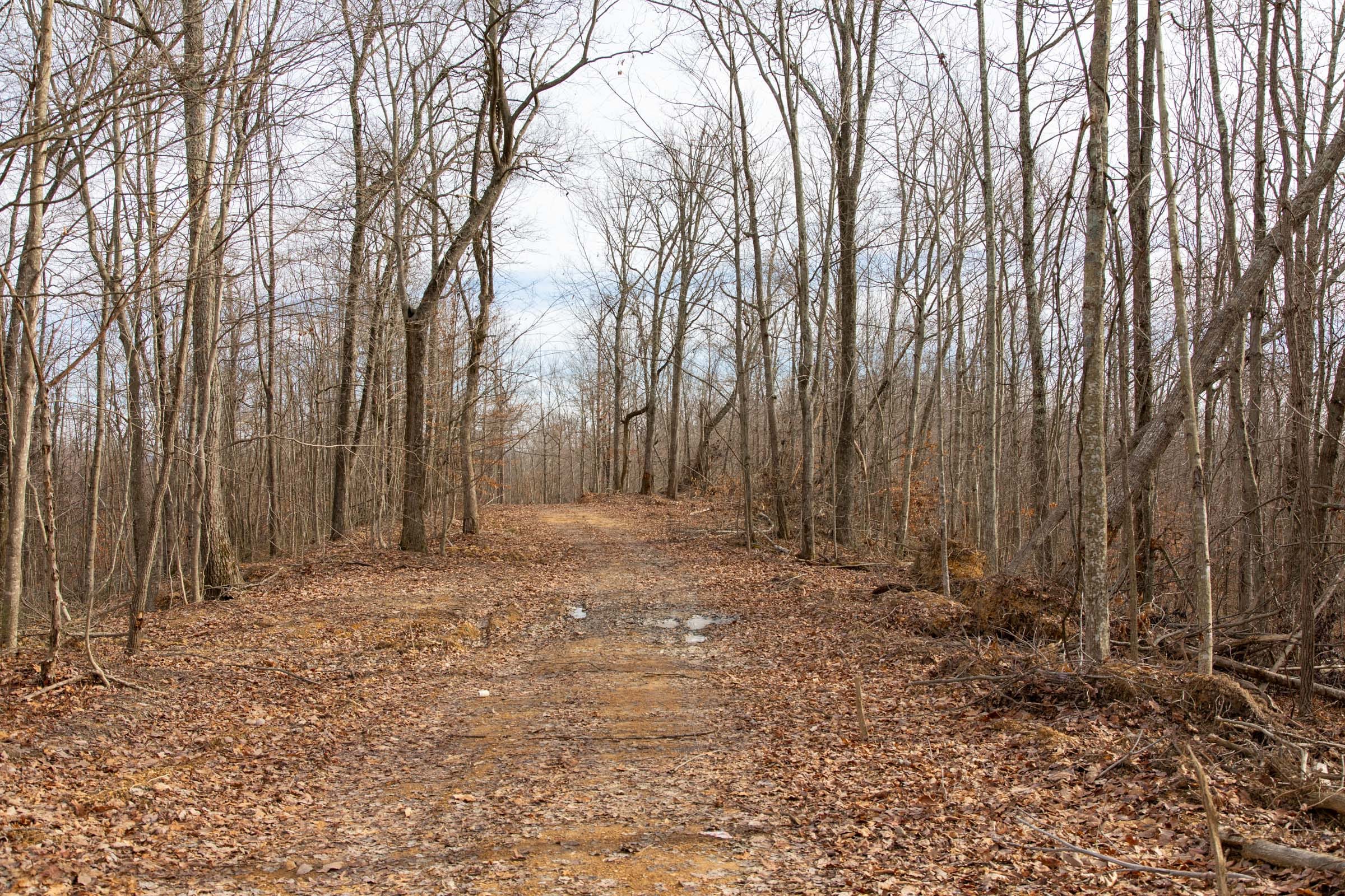 Blackstone Mountain Phase I Tract 24 photo 9