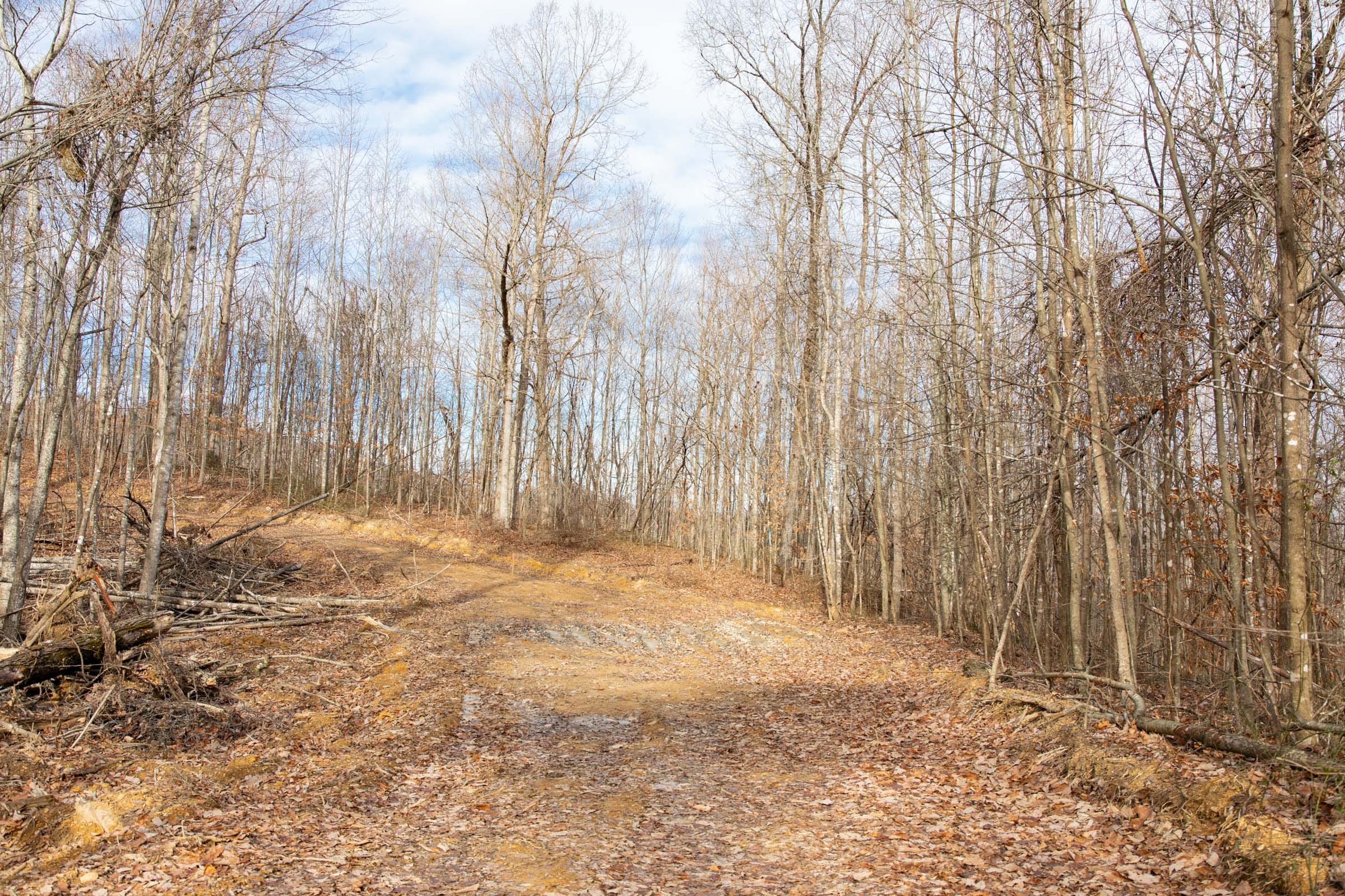 Blackstone Mountain Phase I Tract 24 photo 7