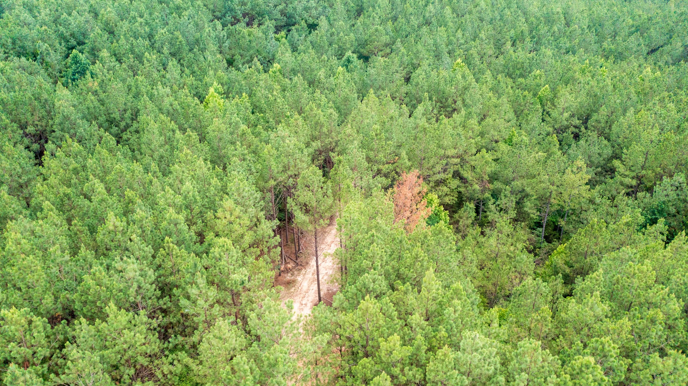 Whiskey Ridge Tract 66 photo 1