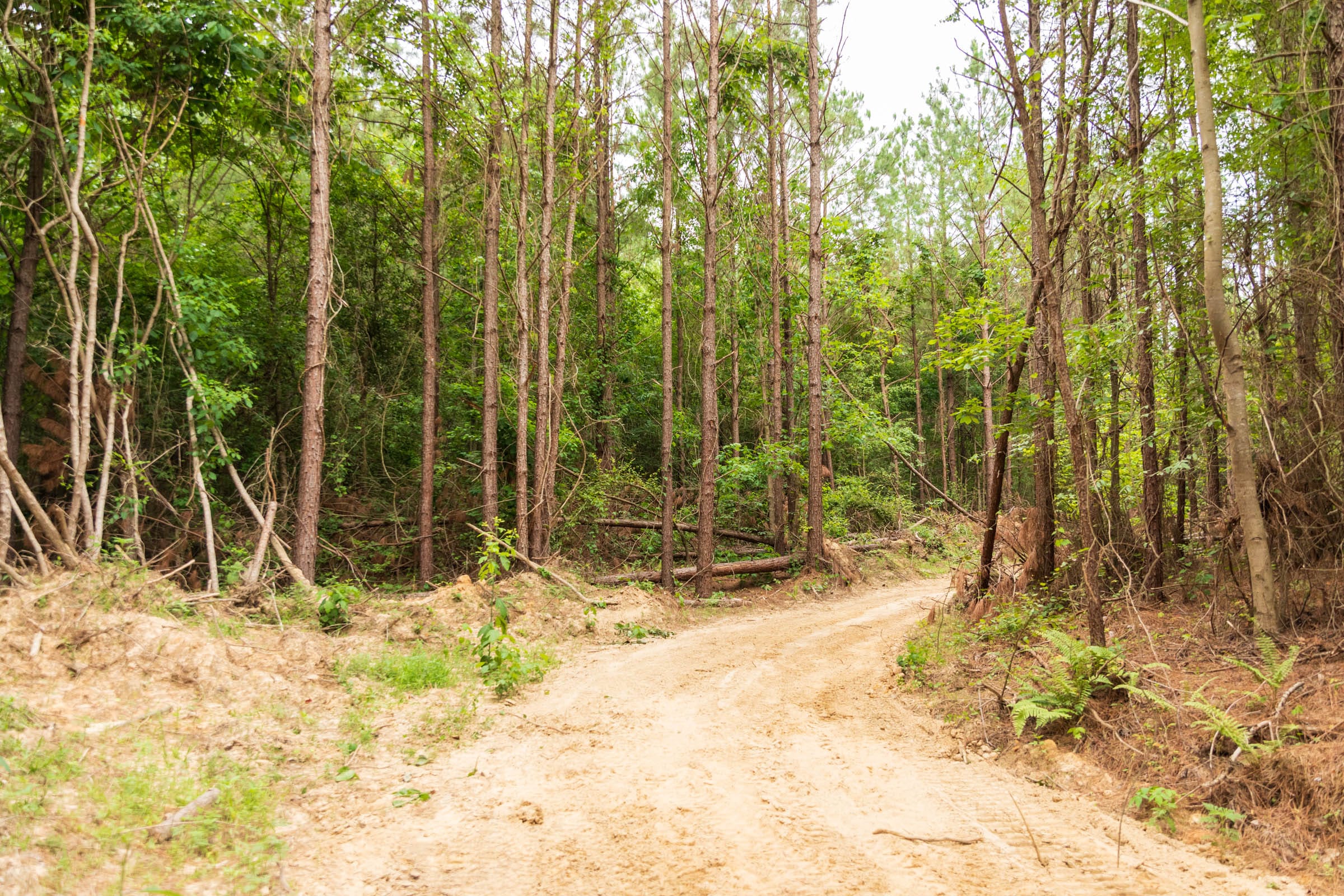 Whiskey Ridge Tract 66 photo 5