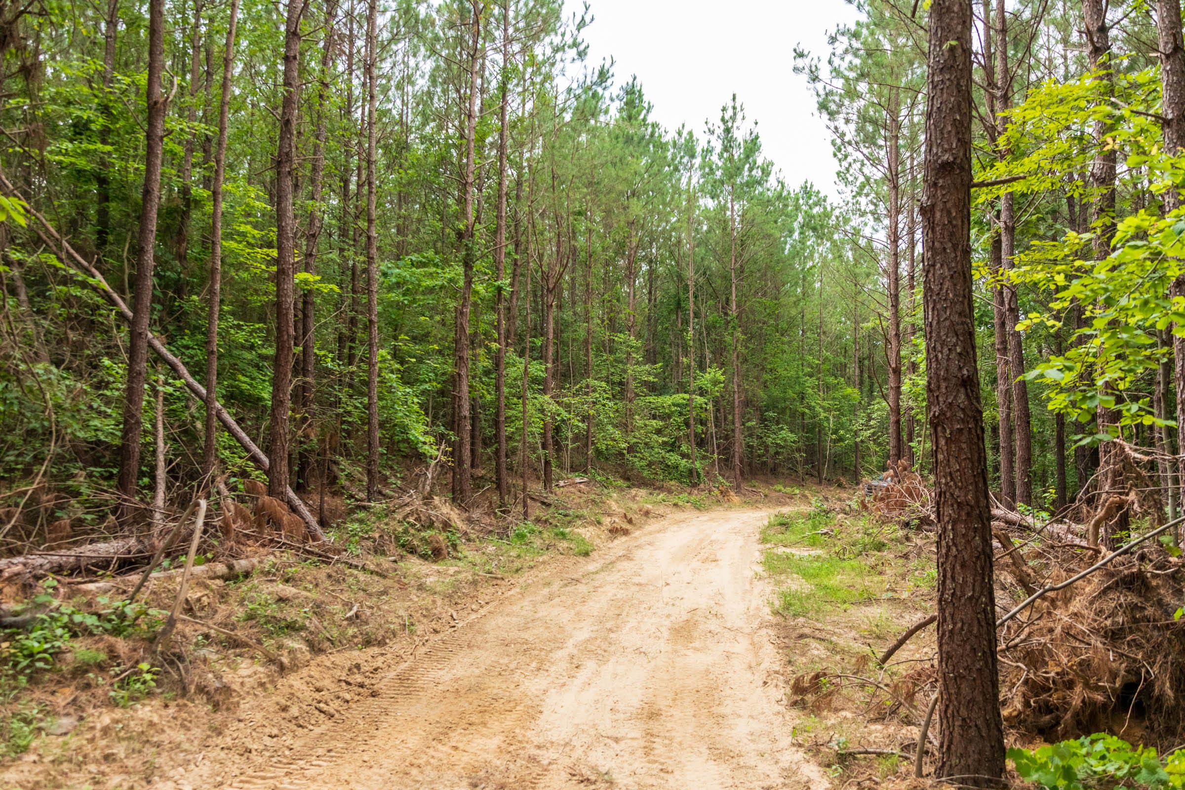 Whiskey Ridge Tract 66 photo 4