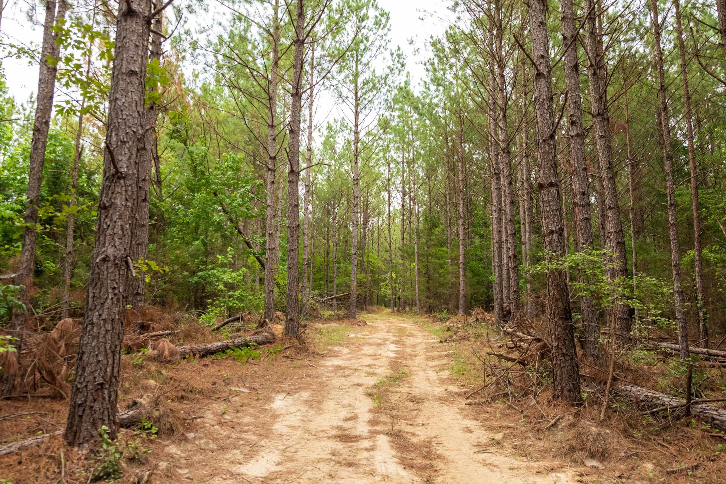Whiskey Ridge Tract 66 photo 7