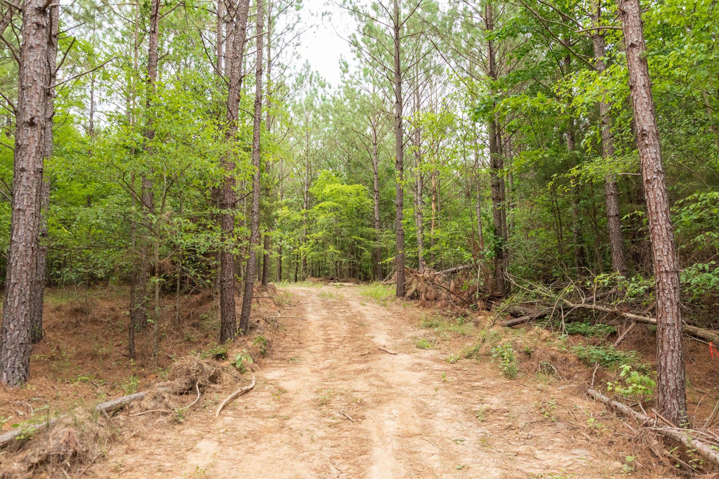 Whiskey Ridge Tract 66 photo 11