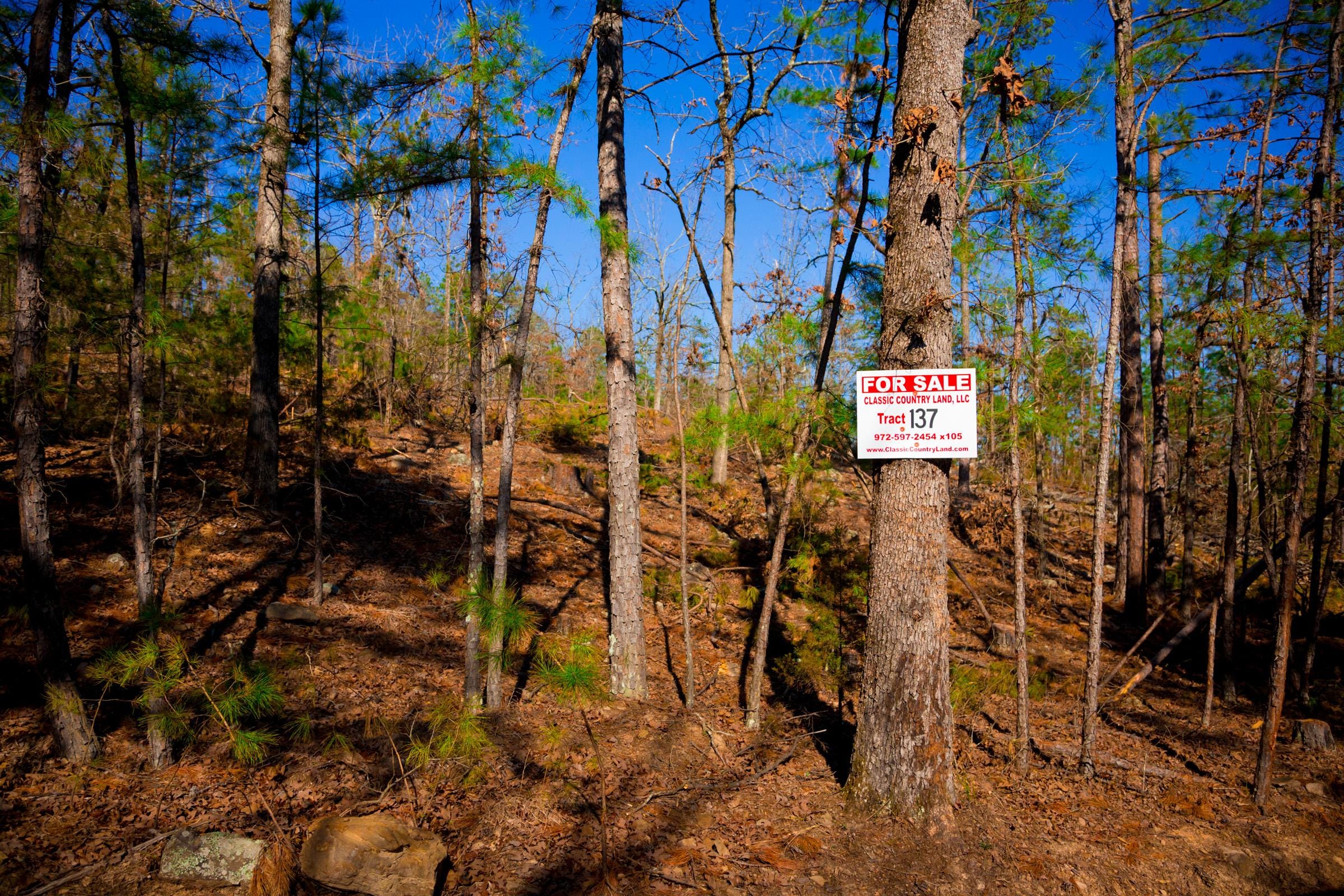 Stone Creek Phase II Tract 137 photo 1