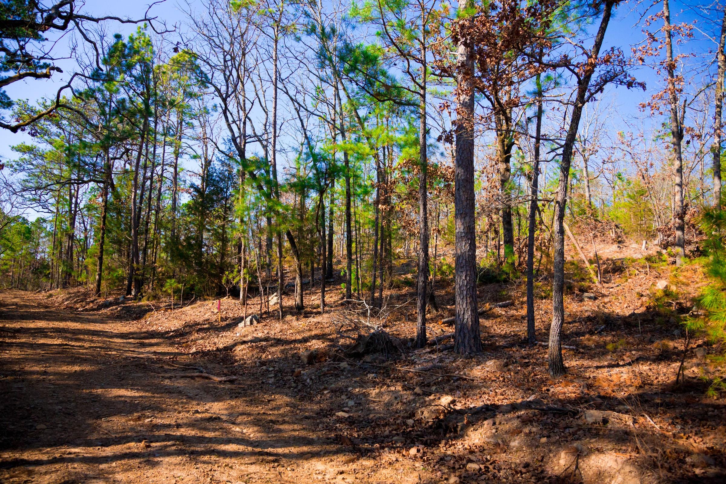 Stone Creek Phase II Tract 137 photo 6