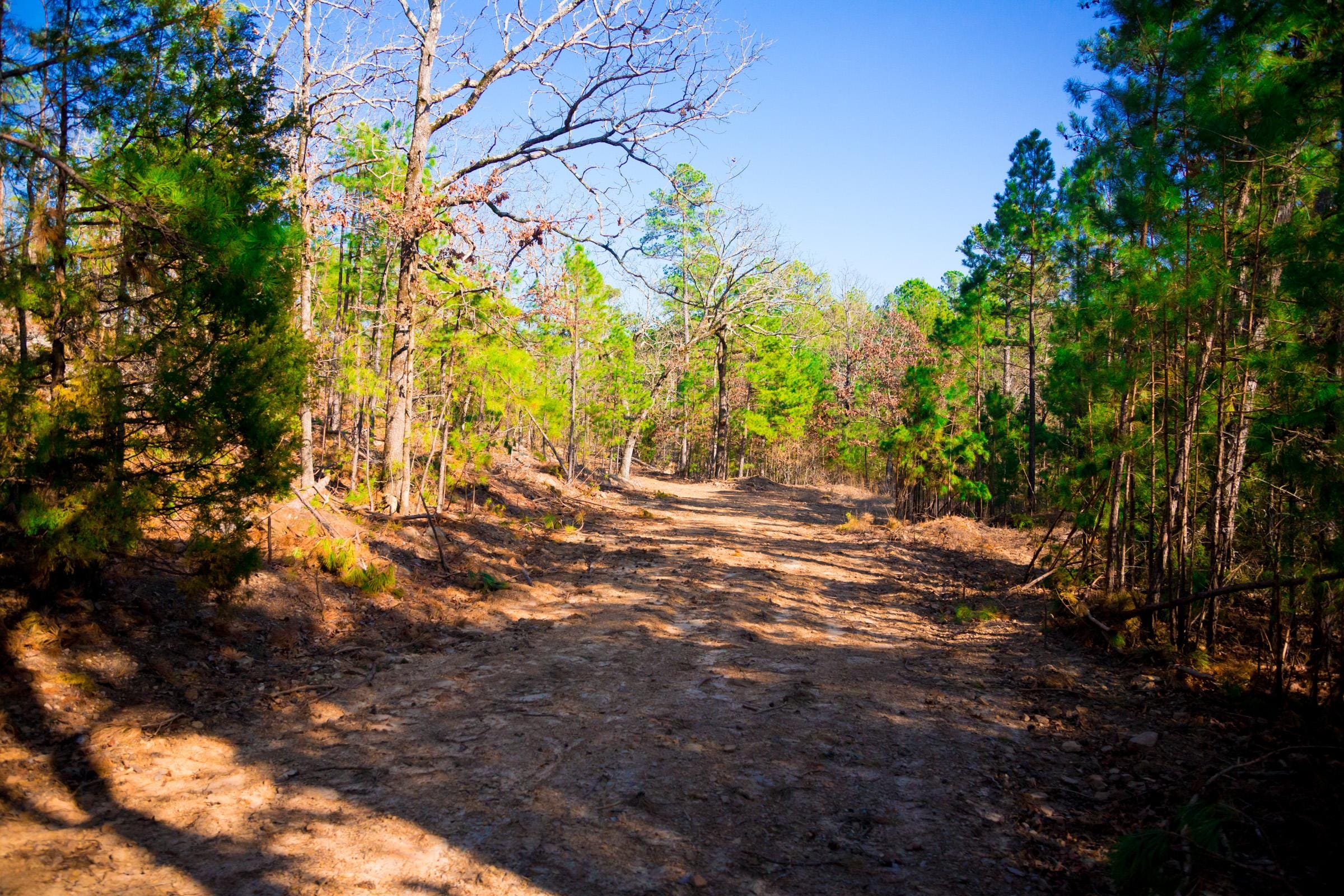 Stone Creek Phase II Tract 137 photo 2