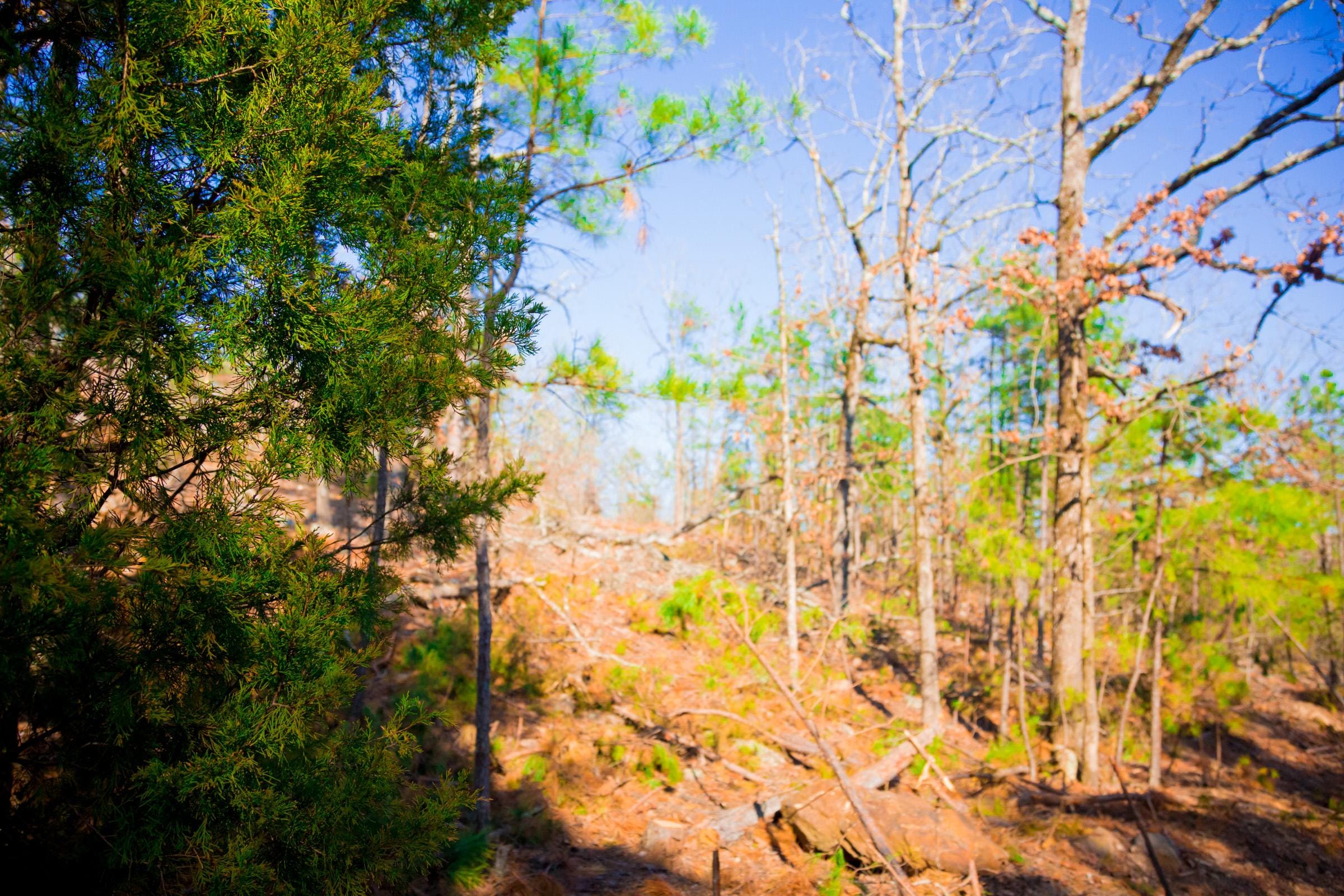 Stone Creek Phase II Tract 137 photo 7