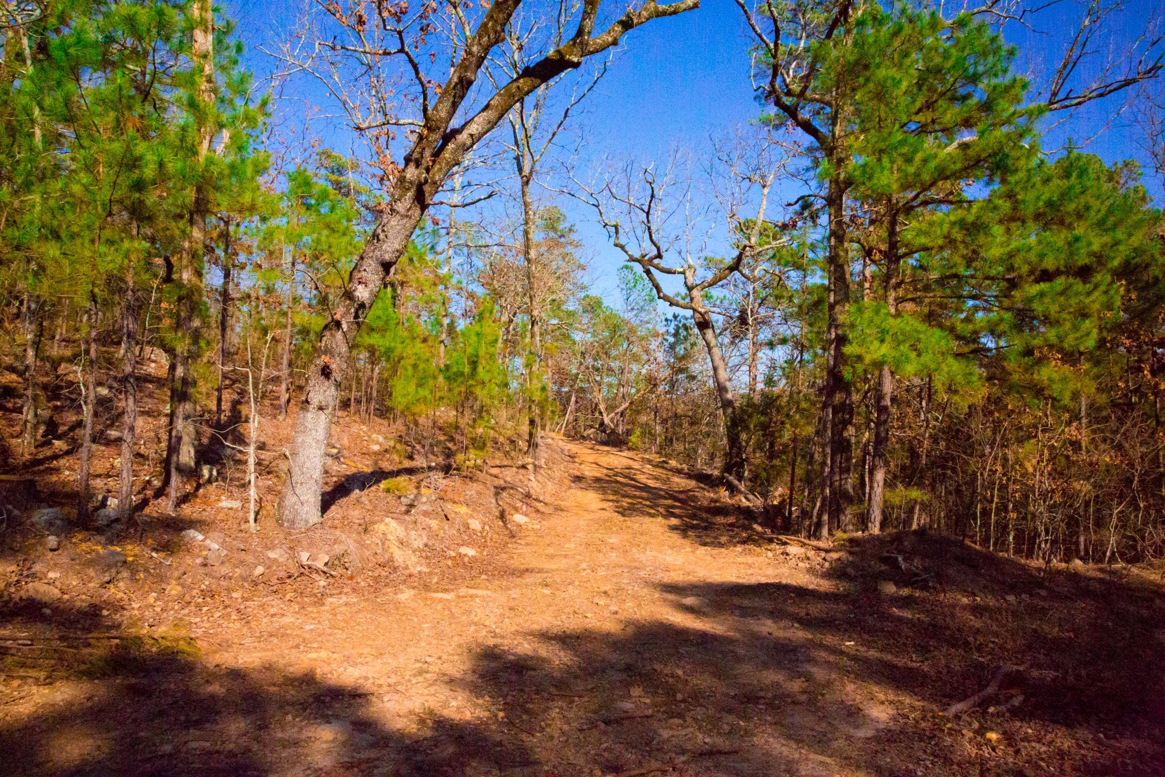 Stone Creek Phase II Tract 137 photo 9