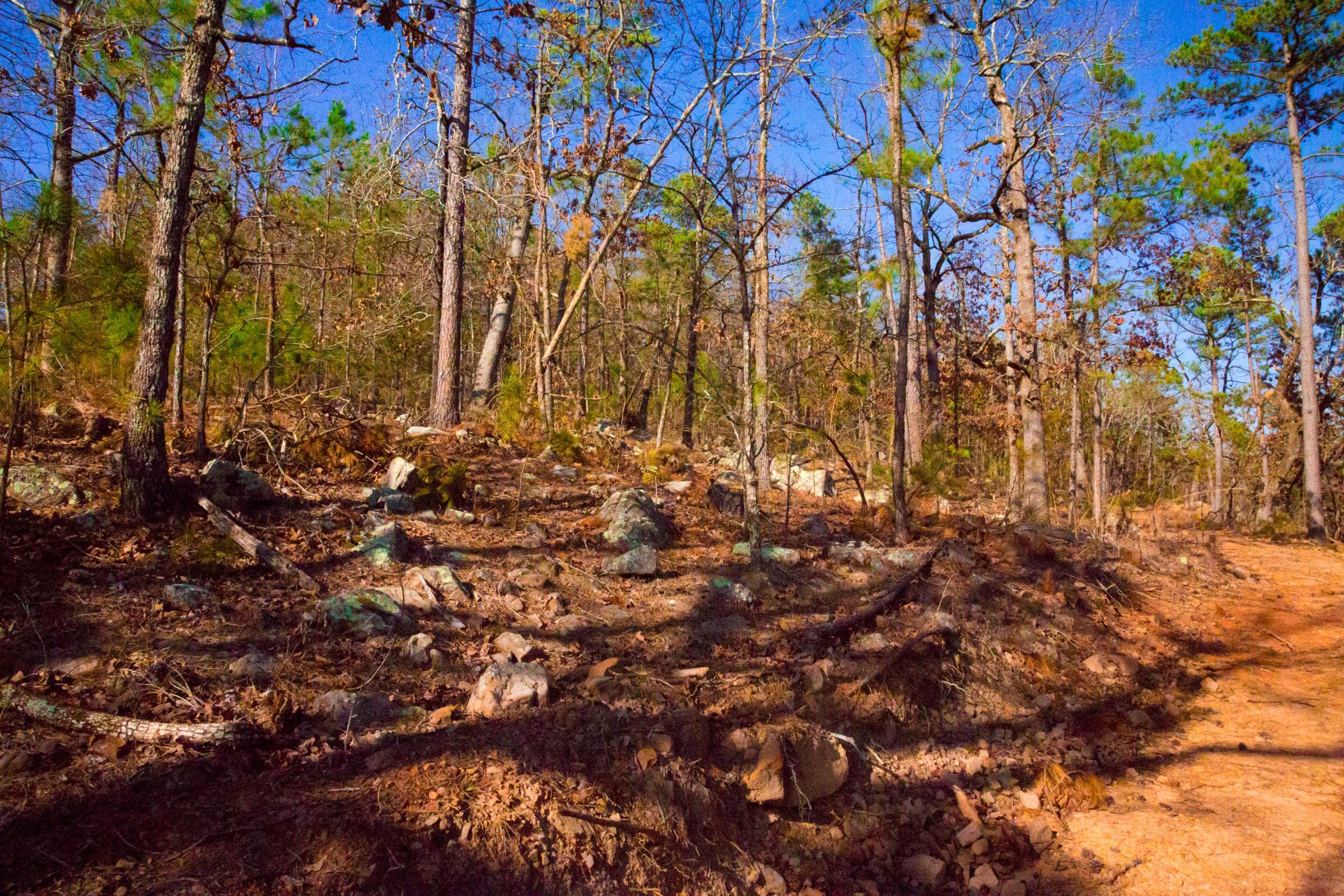 Stone Creek Phase II Tract 137 photo 10