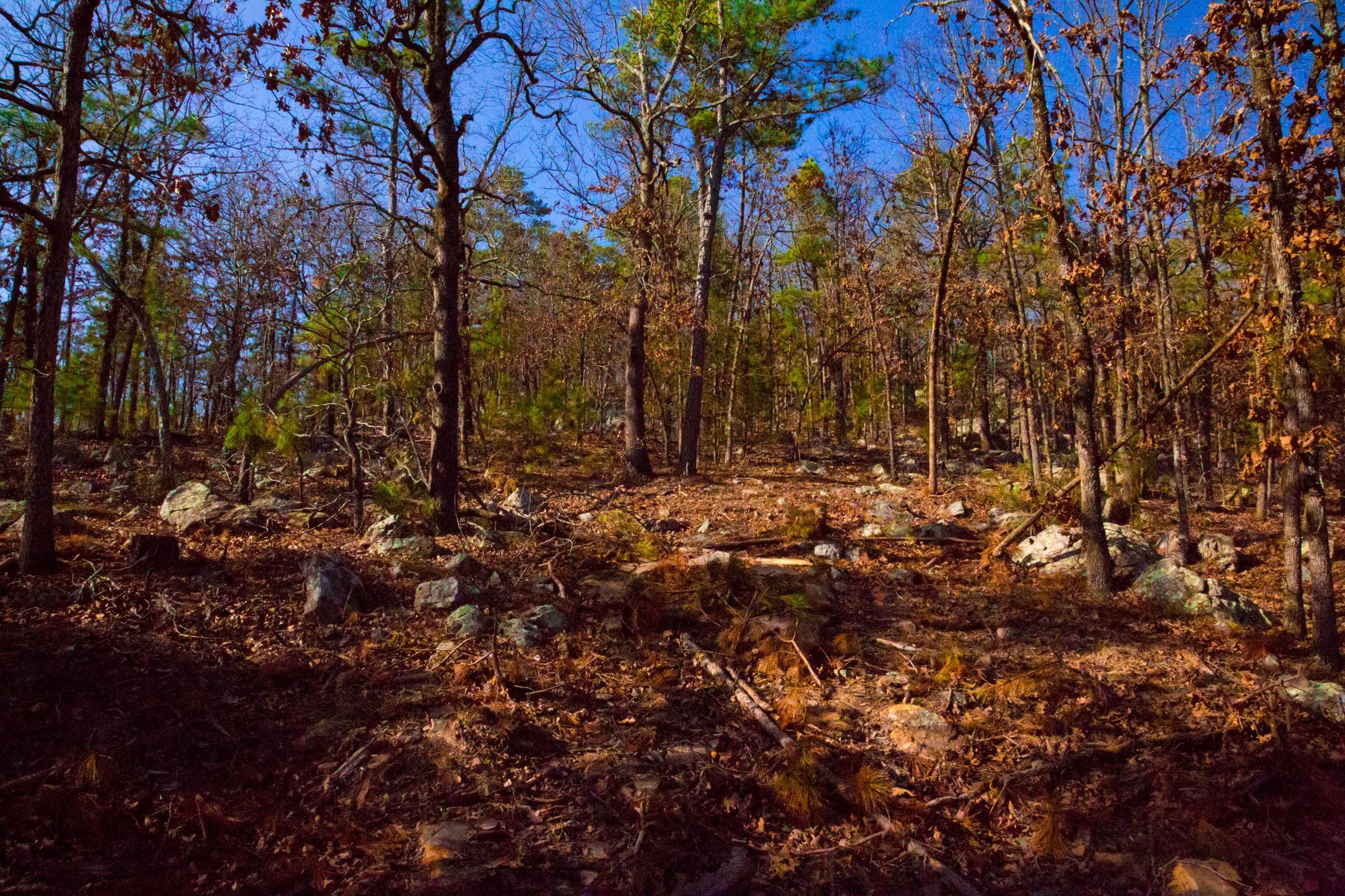 Stone Creek Phase II Tract 137 photo 11