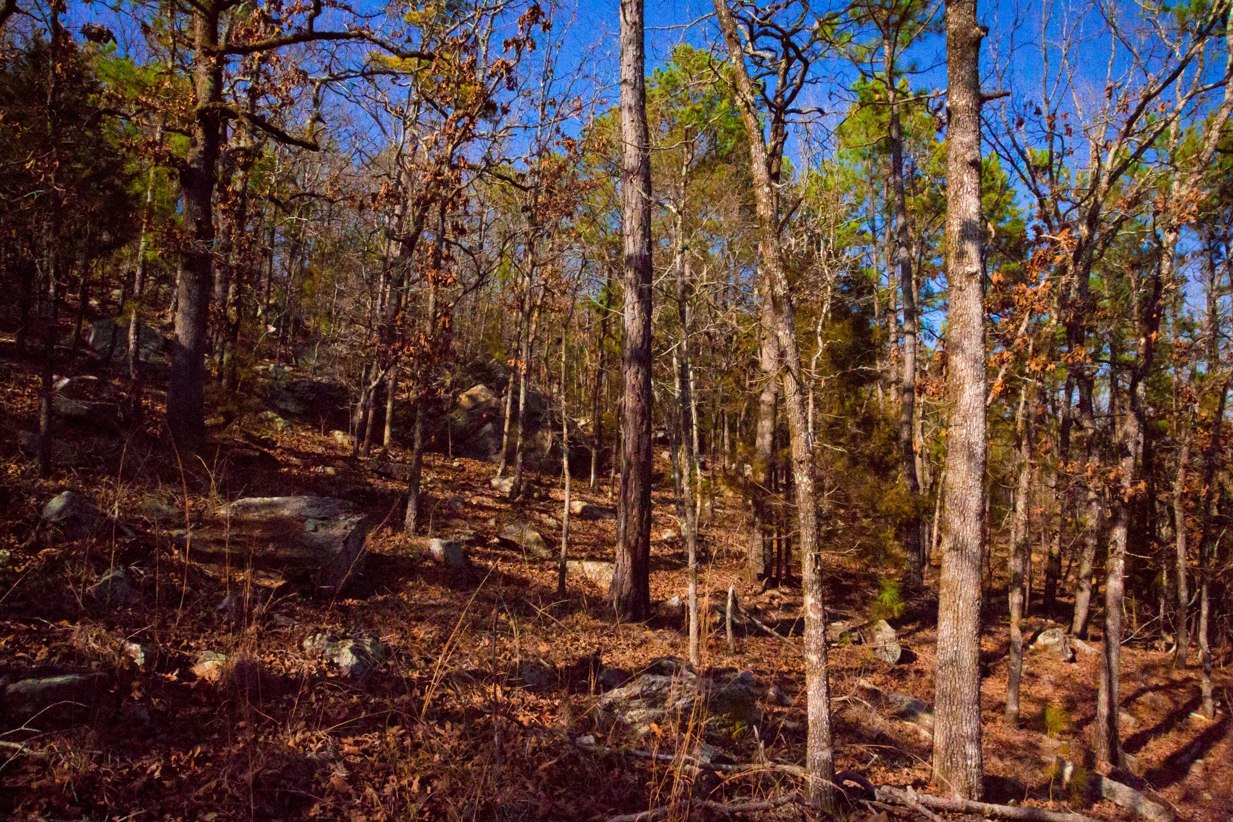Stone Creek Phase II Tract 137 photo 12