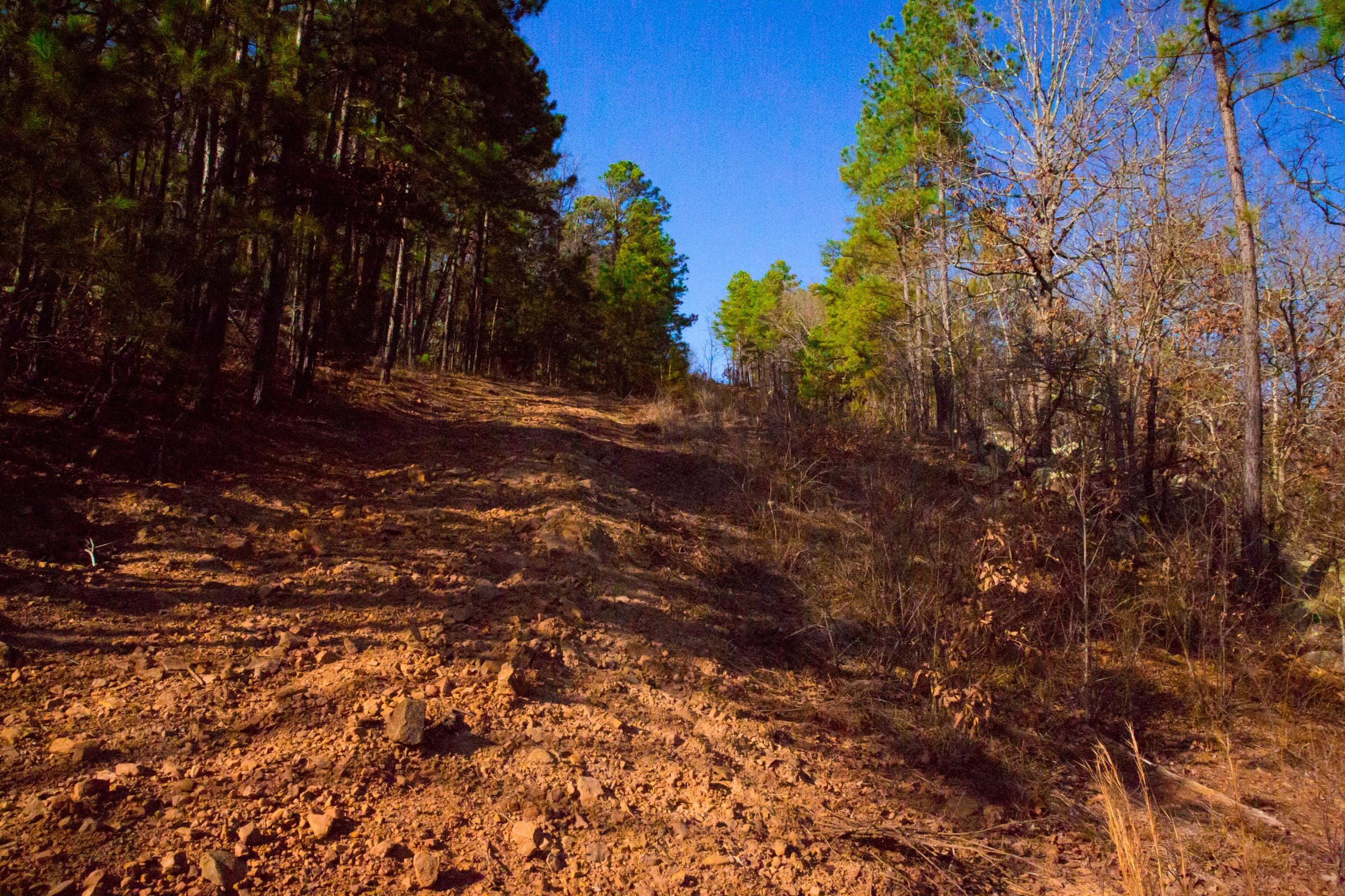 Stone Creek Phase II Tract 137 photo 13