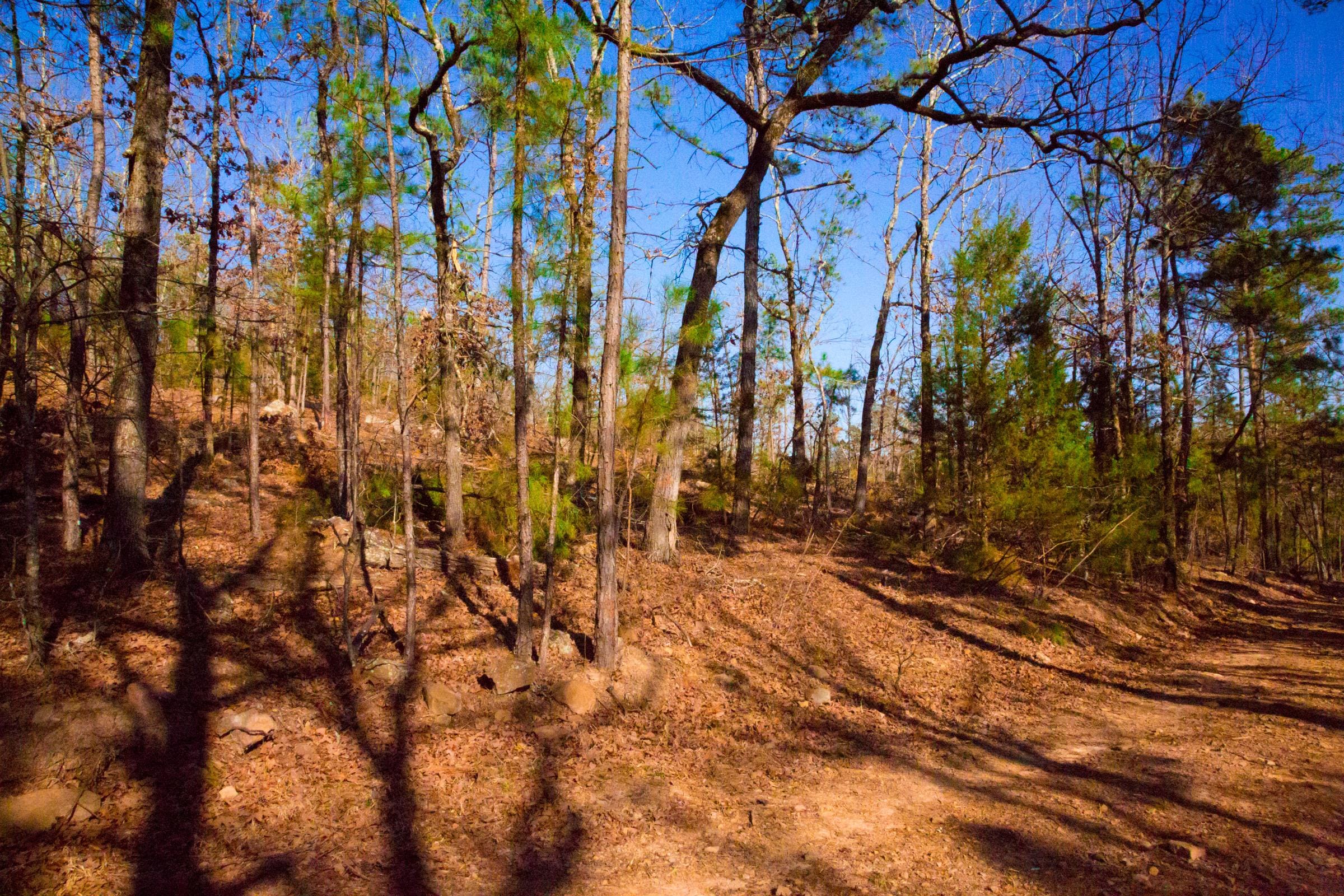 Stone Creek Phase II Tract 137 photo 14