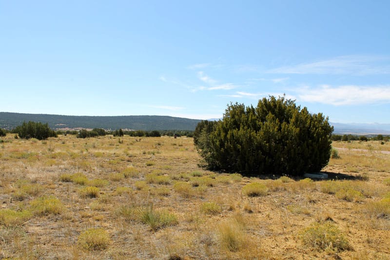 Black Diamond Park Tract 1 photo 4
