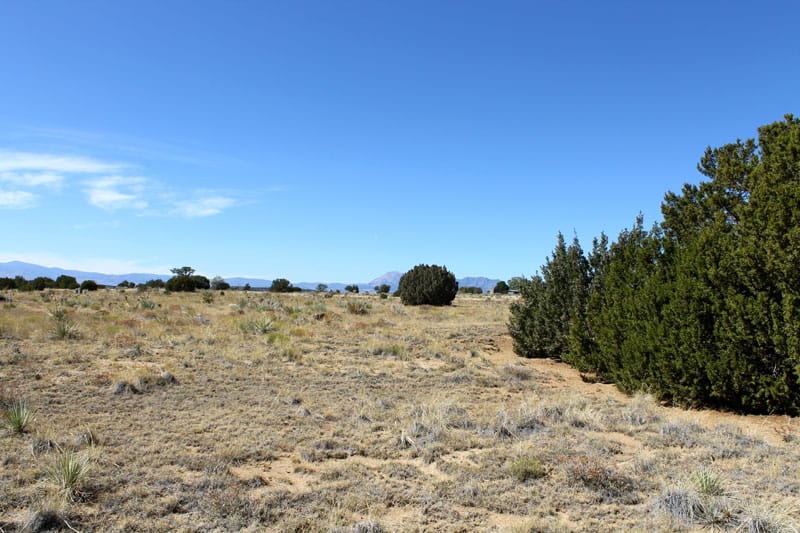 Black Diamond Park Tract 1 photo 11