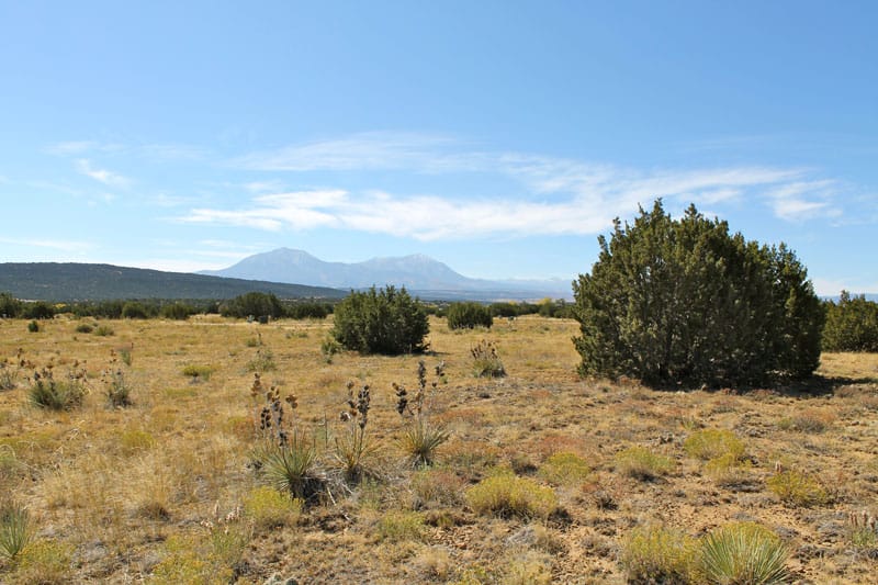 Black Diamond Park Tract 1 photo 15