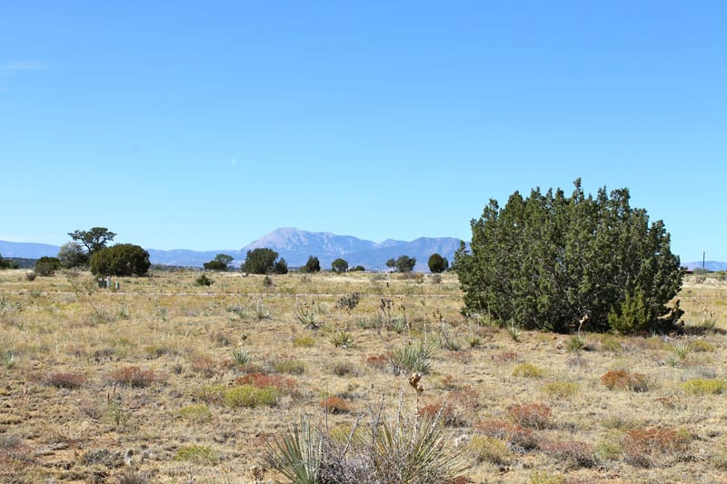 Black Diamond Park Tract 1 photo 18