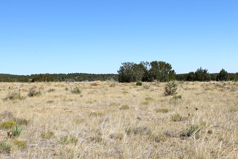 Black Diamond Park Tract 1 photo 20