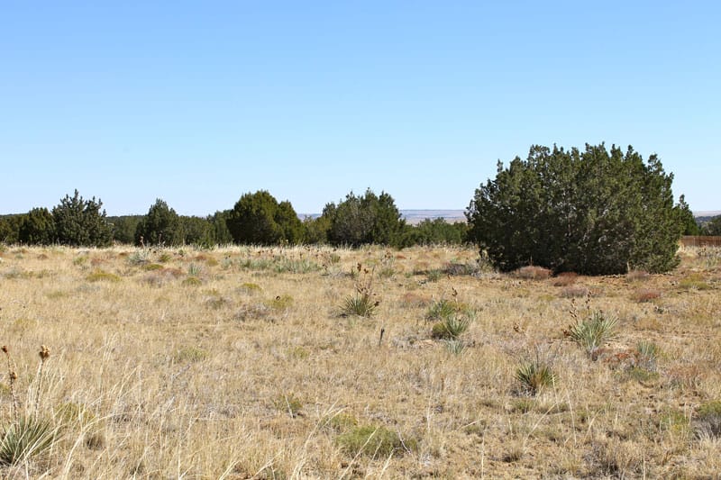 Black Diamond Park Tract 1 photo 22