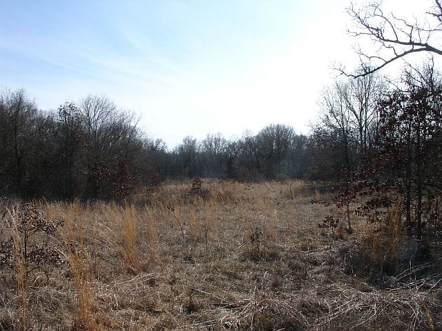 Tranquility Farms Tract 7 photo 1