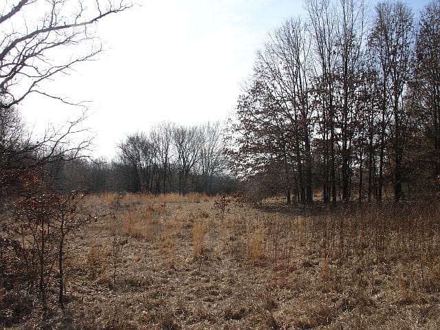 Tranquility Farms Tract 7 photo 2