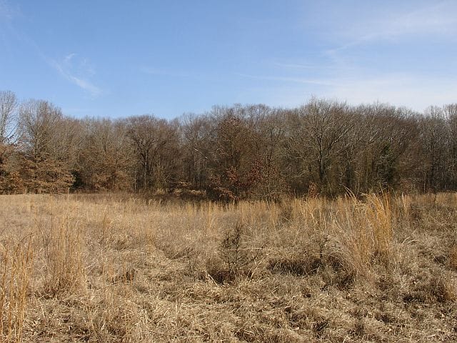Tranquility Farms Tract 7 photo 3