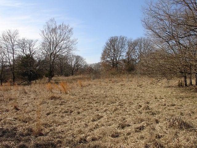 Tranquility Farms Tract 7 photo 5
