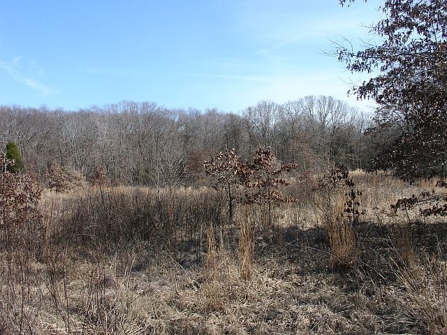 Tranquility Farms Tract 7 photo 6