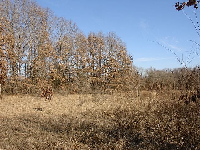Tranquility Farms Tract 7 photo 7