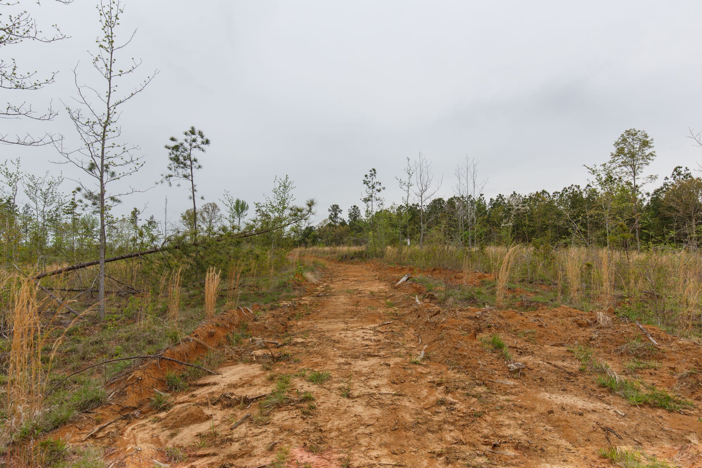 Twin Rivers Tract 33 photo 3
