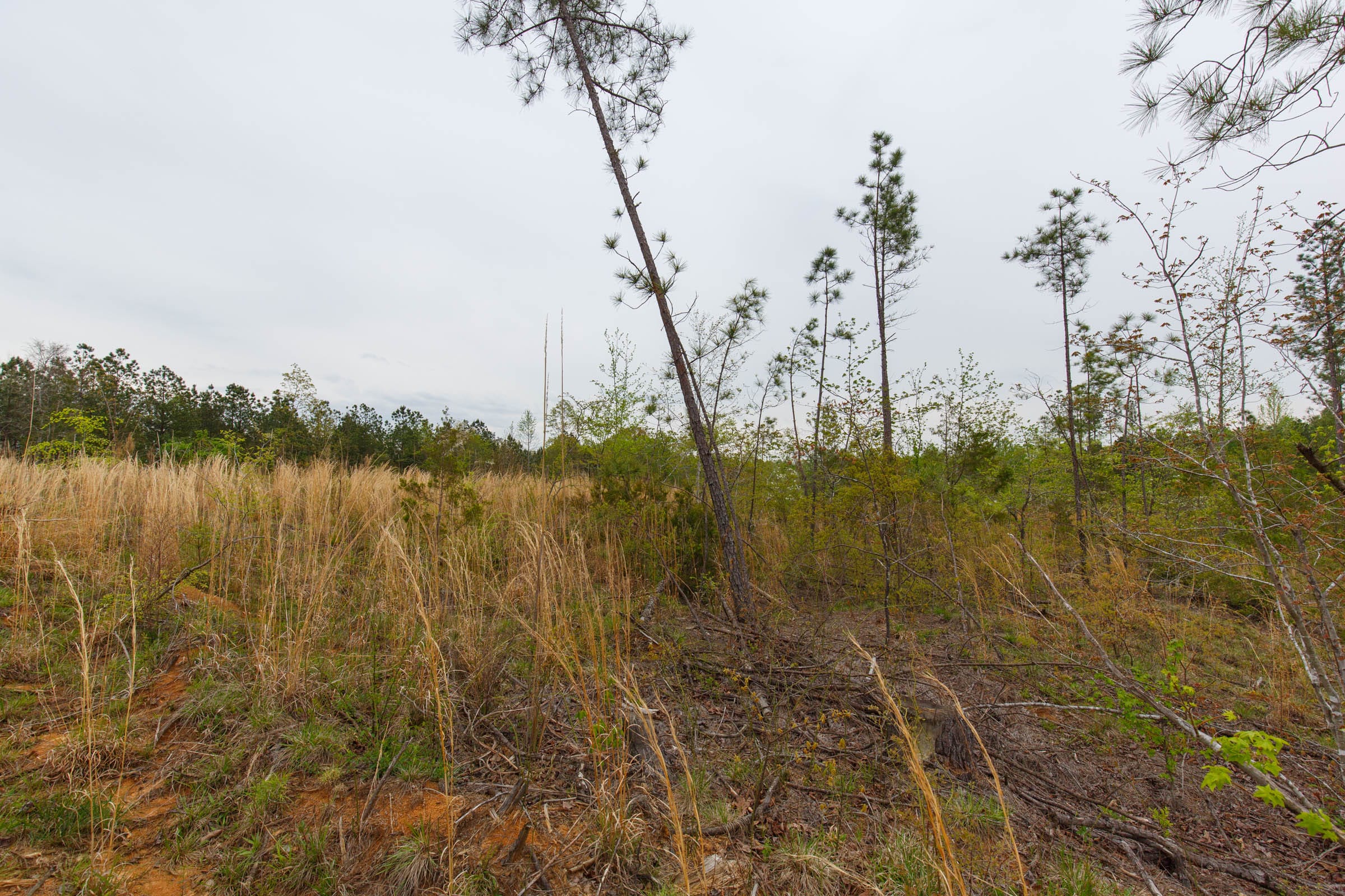 Twin Rivers Tract 33 photo 9