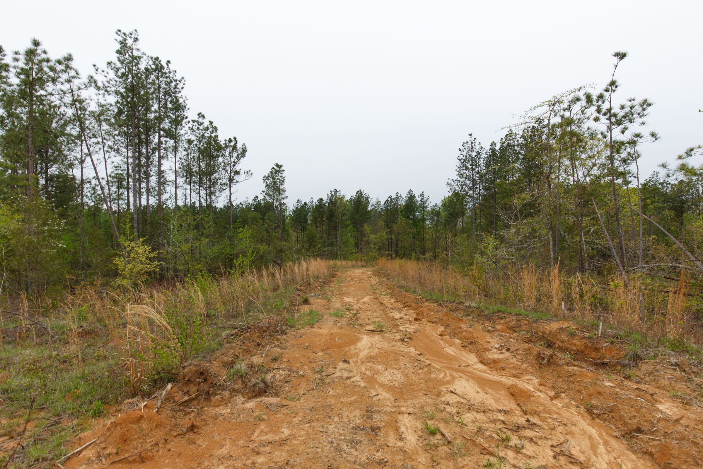 Twin Rivers Tract 33 photo 12