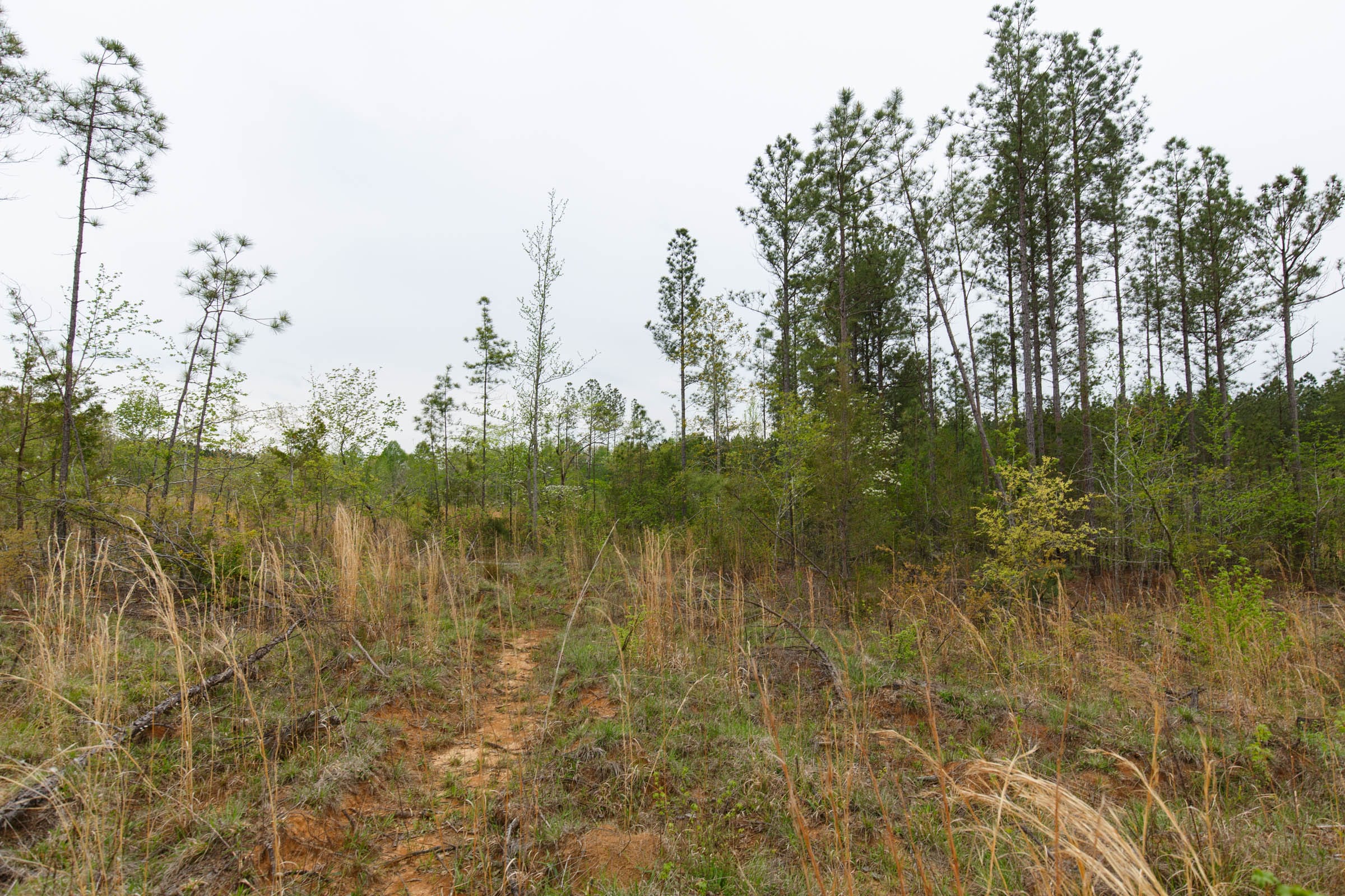 Twin Rivers Tract 33 photo 10