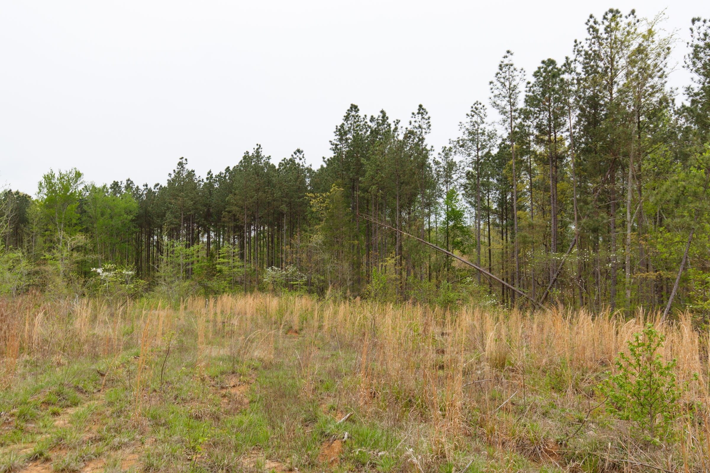 Twin Rivers Tract 33 photo 11