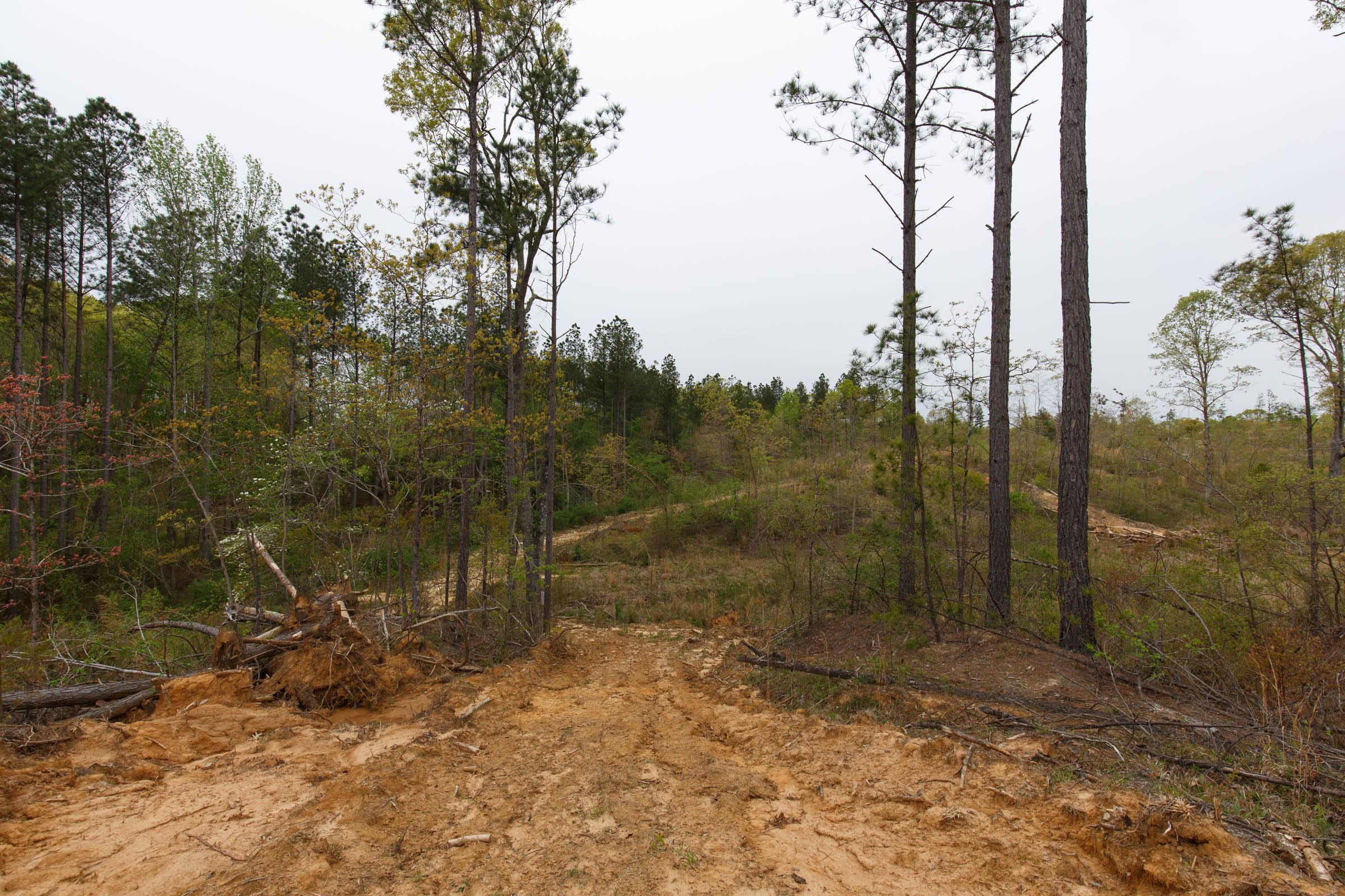 Twin Rivers Tract 33 photo 7
