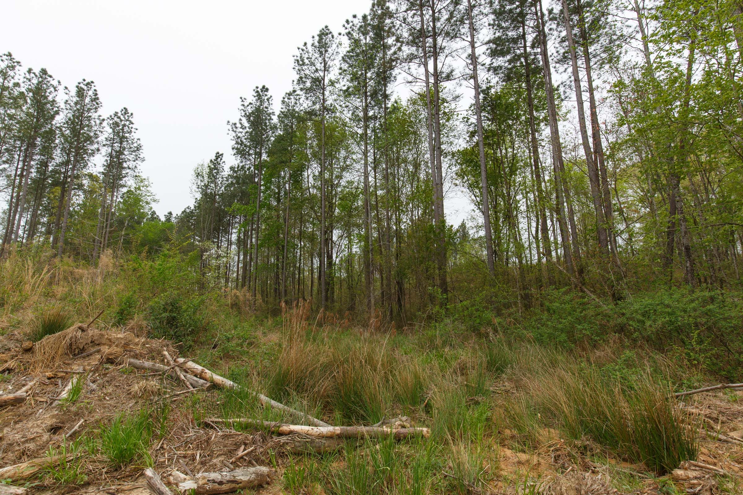 Twin Rivers Tract 33 photo 15