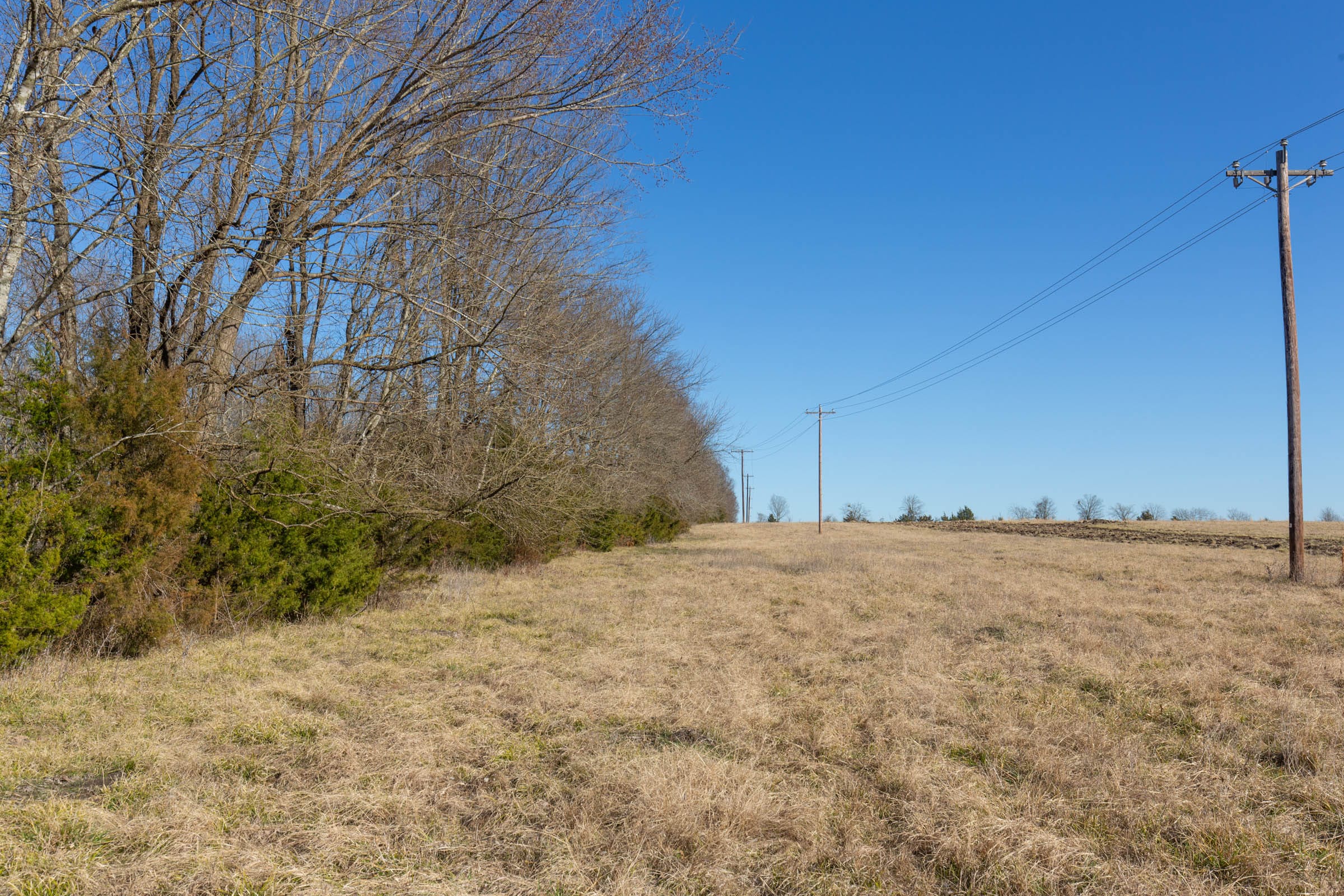 Wishing Star Ranch Tract 7 photo 3