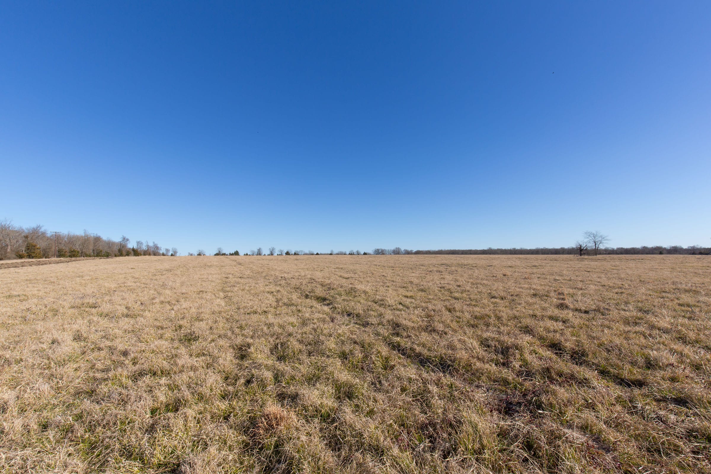 Wishing Star Ranch Tract 7 photo 5