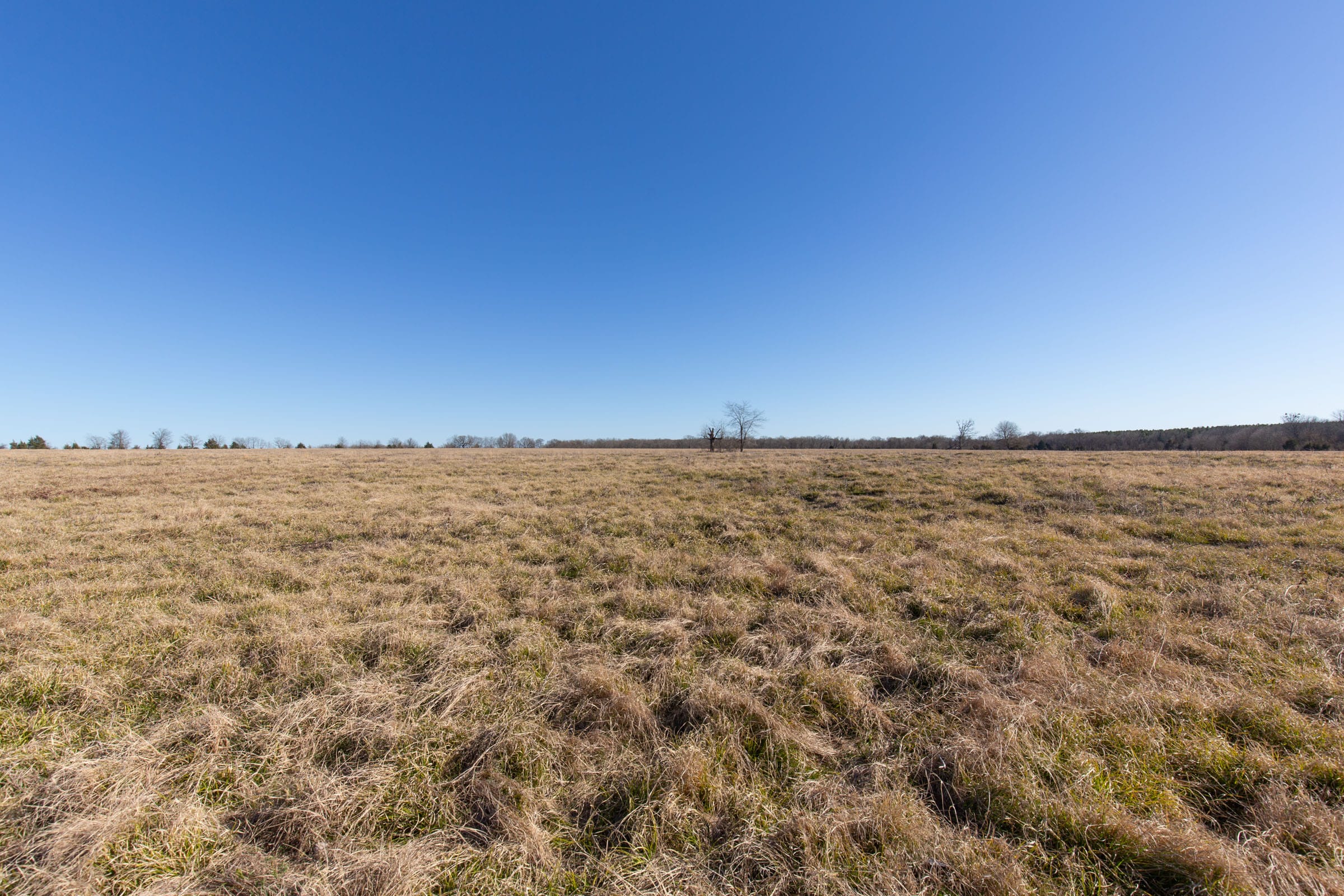 Wishing Star Ranch Tract 7 photo 6