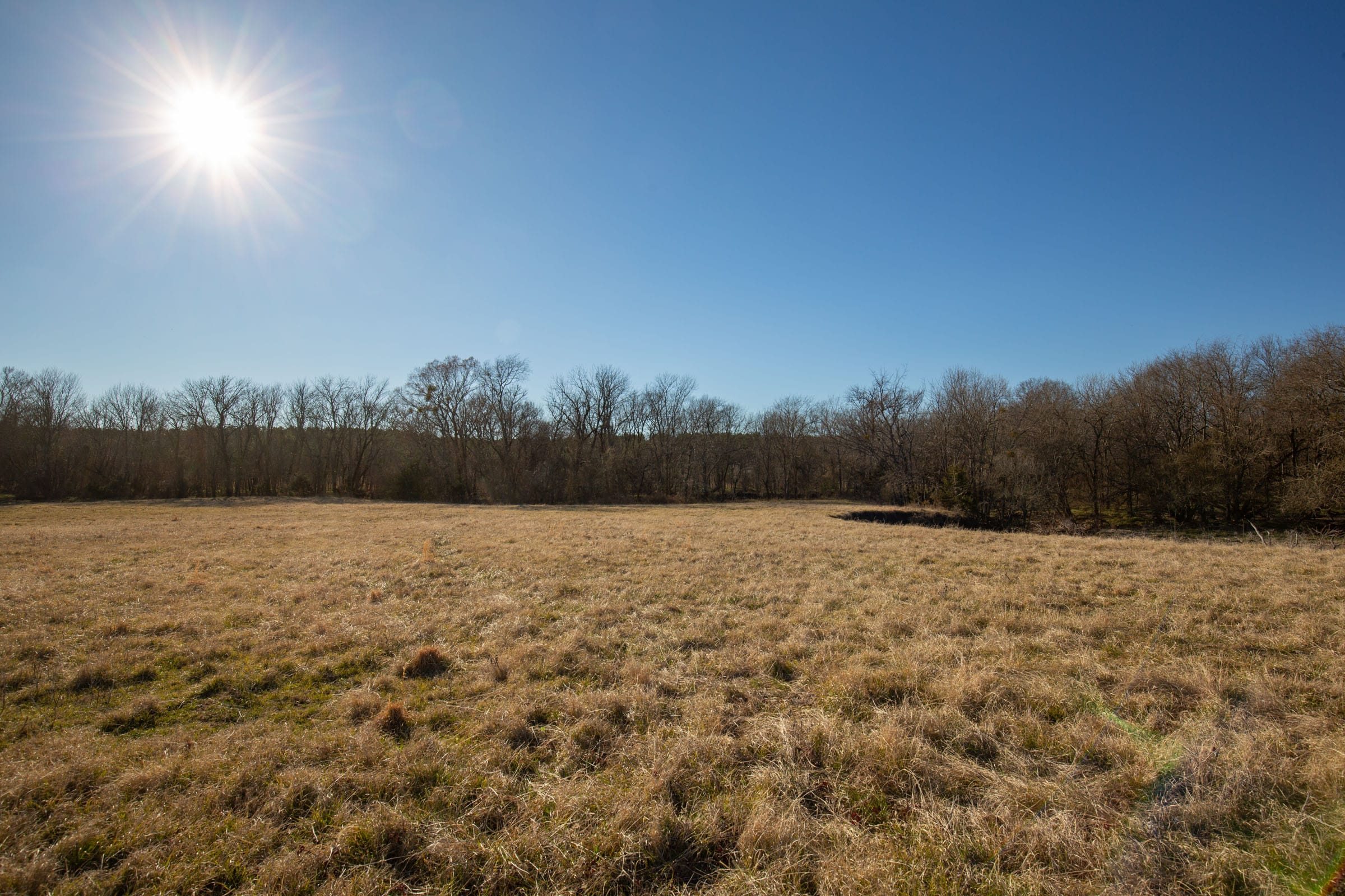 Wishing Star Ranch Tract 7 photo 8