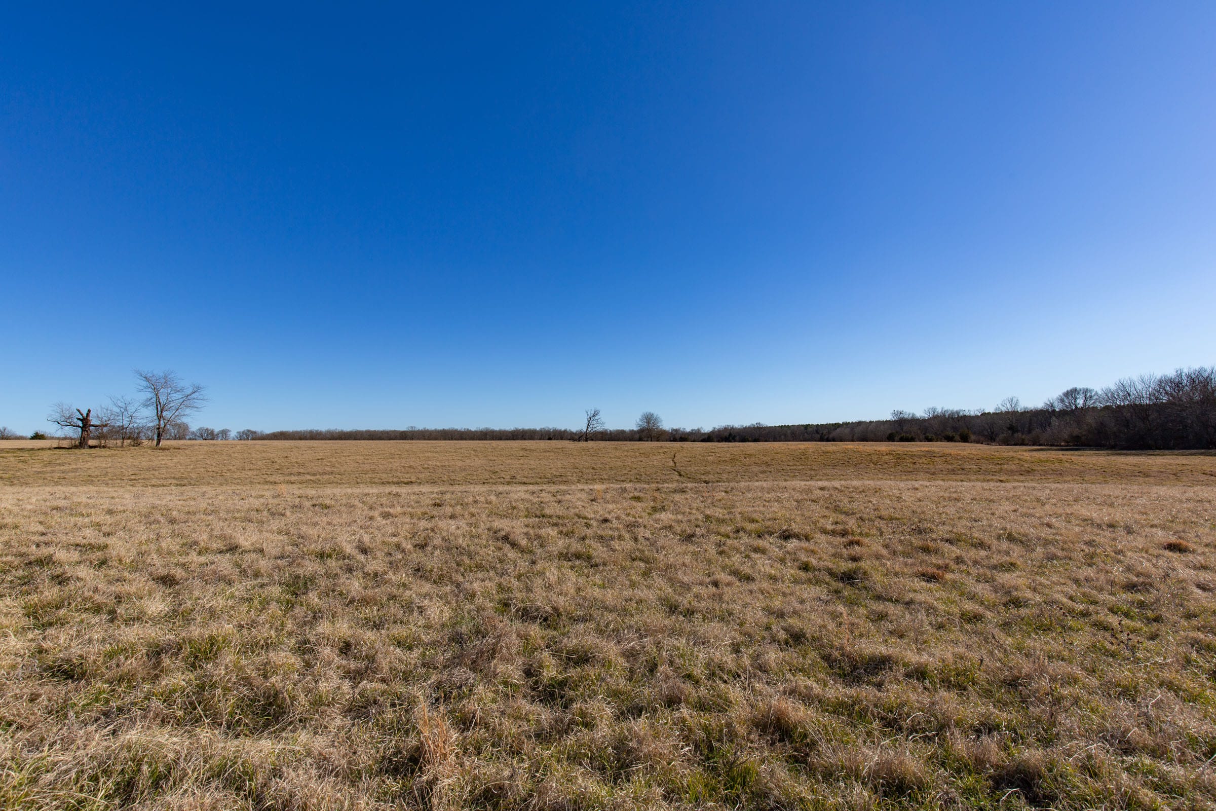 Wishing Star Ranch Tract 7 photo 9