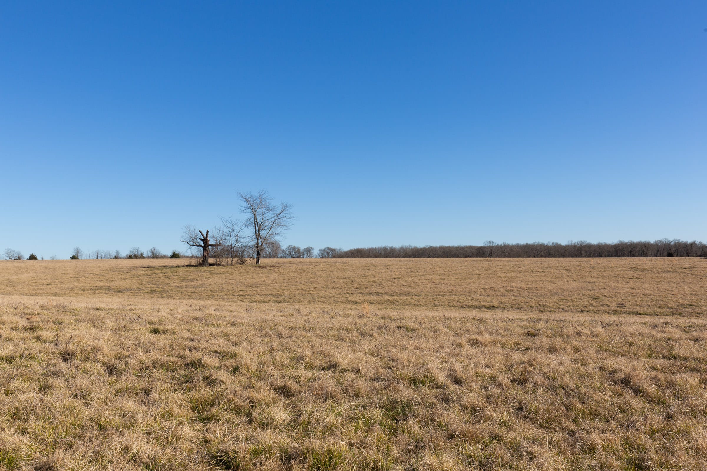 Wishing Star Ranch Tract 7 photo 10