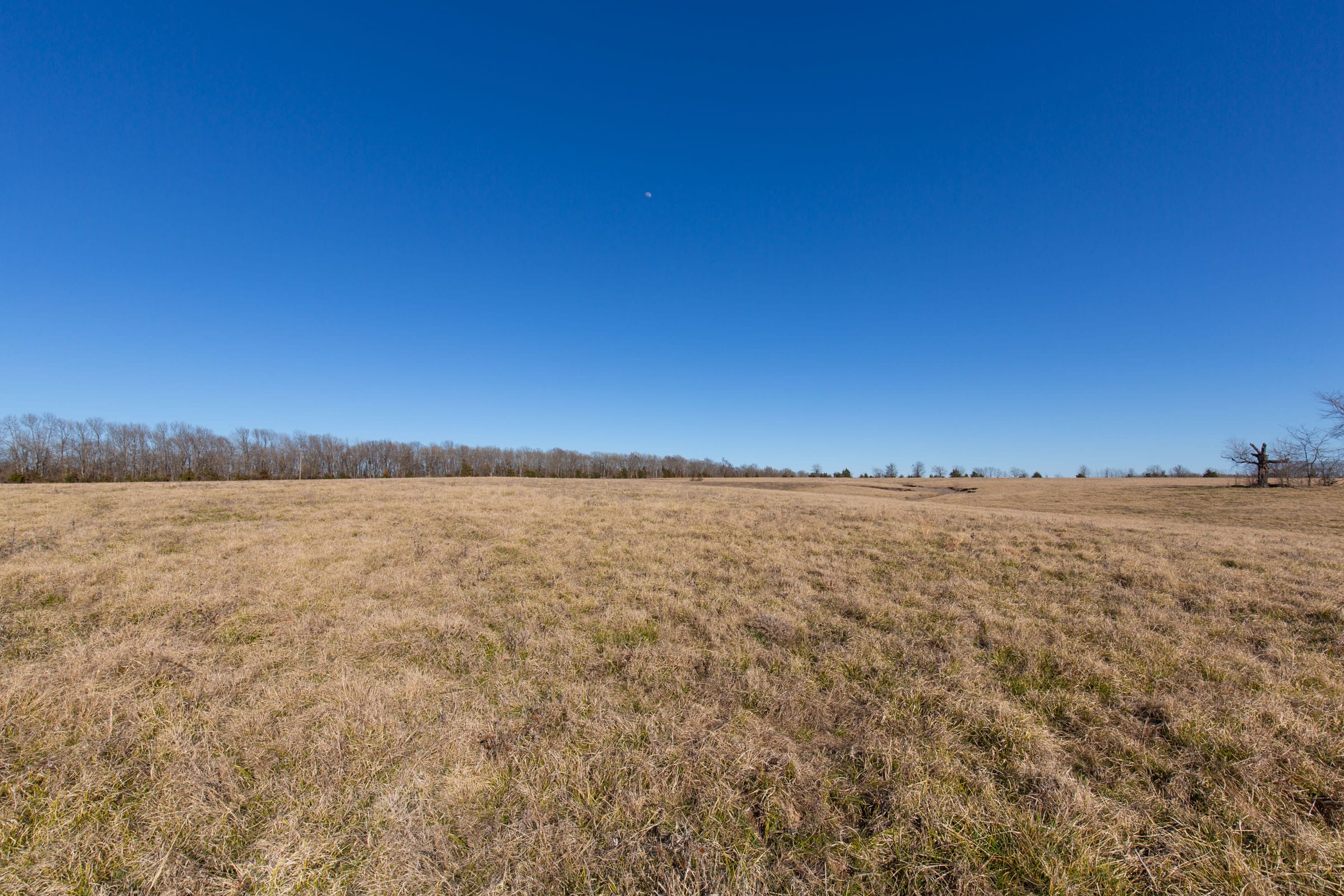 Wishing Star Ranch Tract 7 photo 11