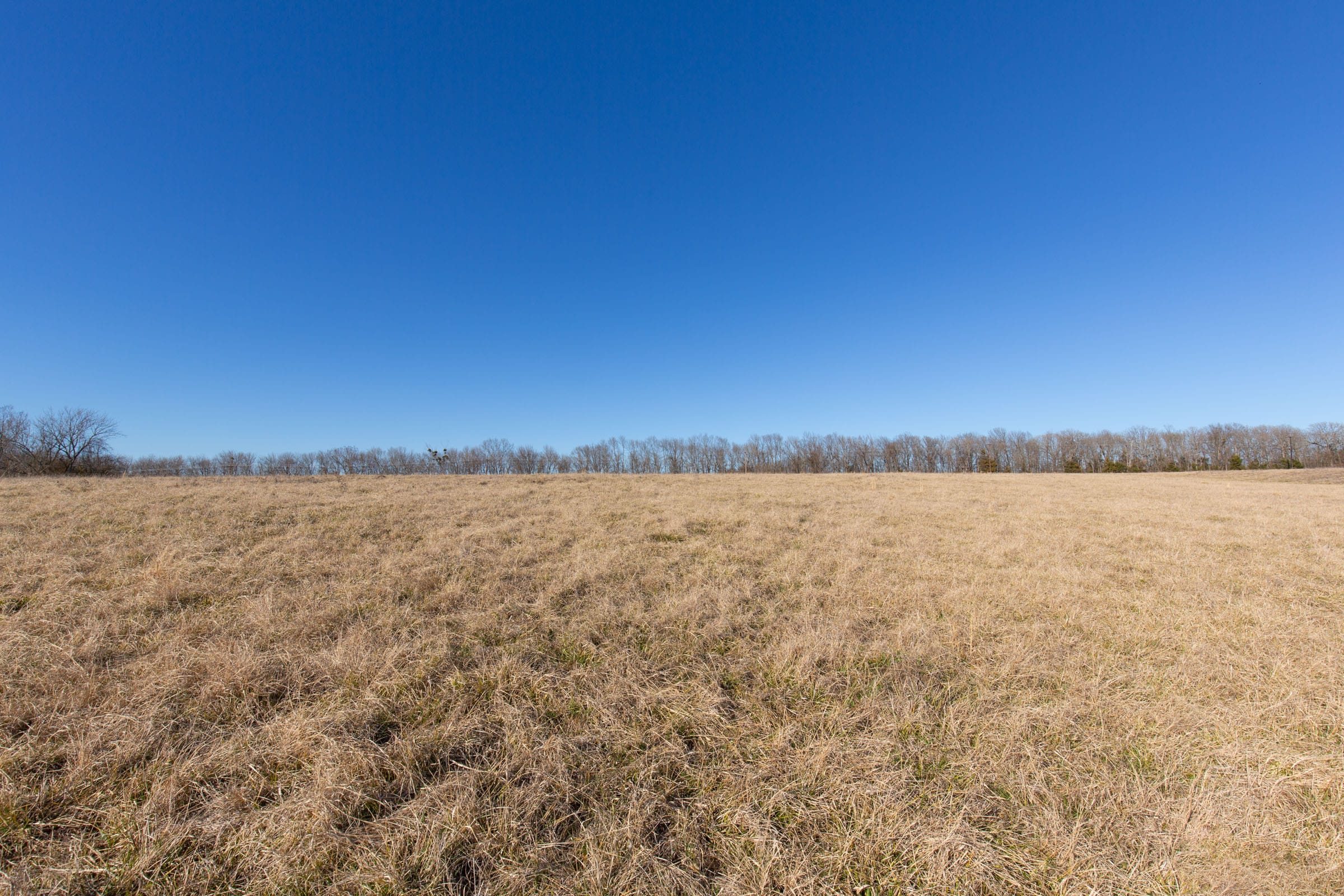 Wishing Star Ranch Tract 7 photo 12