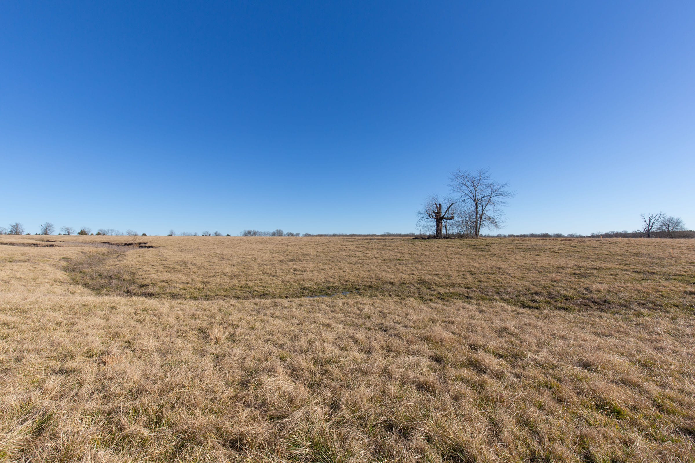 Wishing Star Ranch Tract 7 photo 13