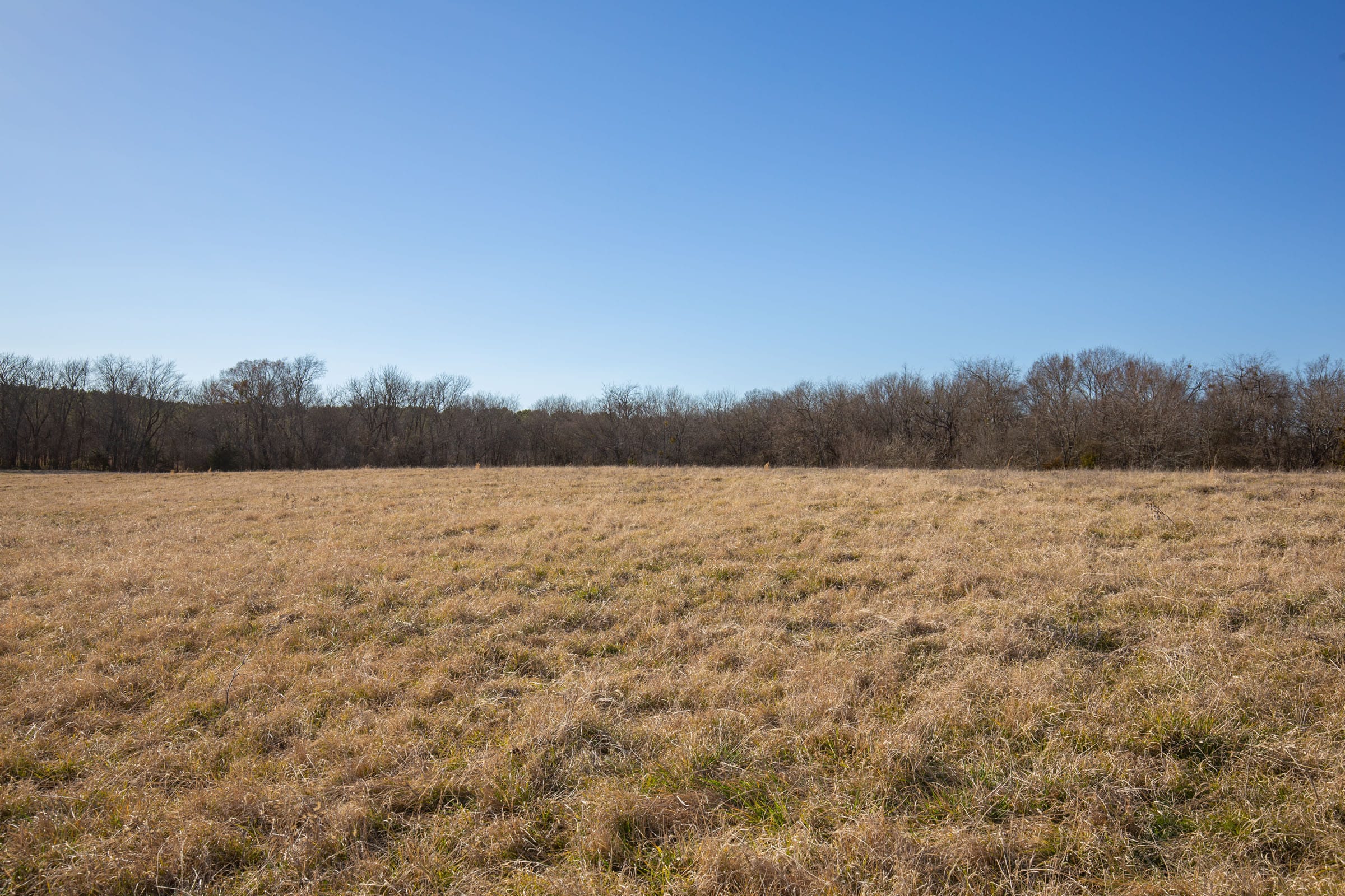 Wishing Star Ranch Tract 7 photo 14